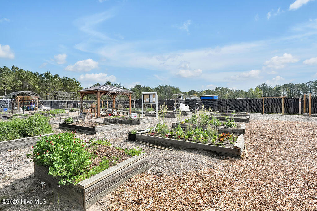 100564545 | Photo 72