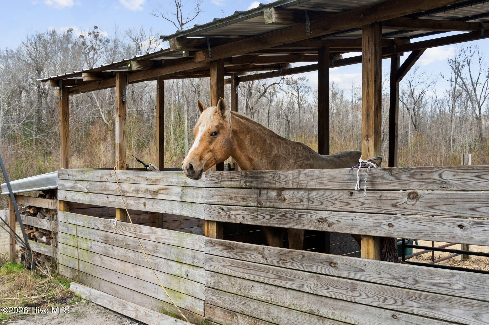 100559666 | Photo 108