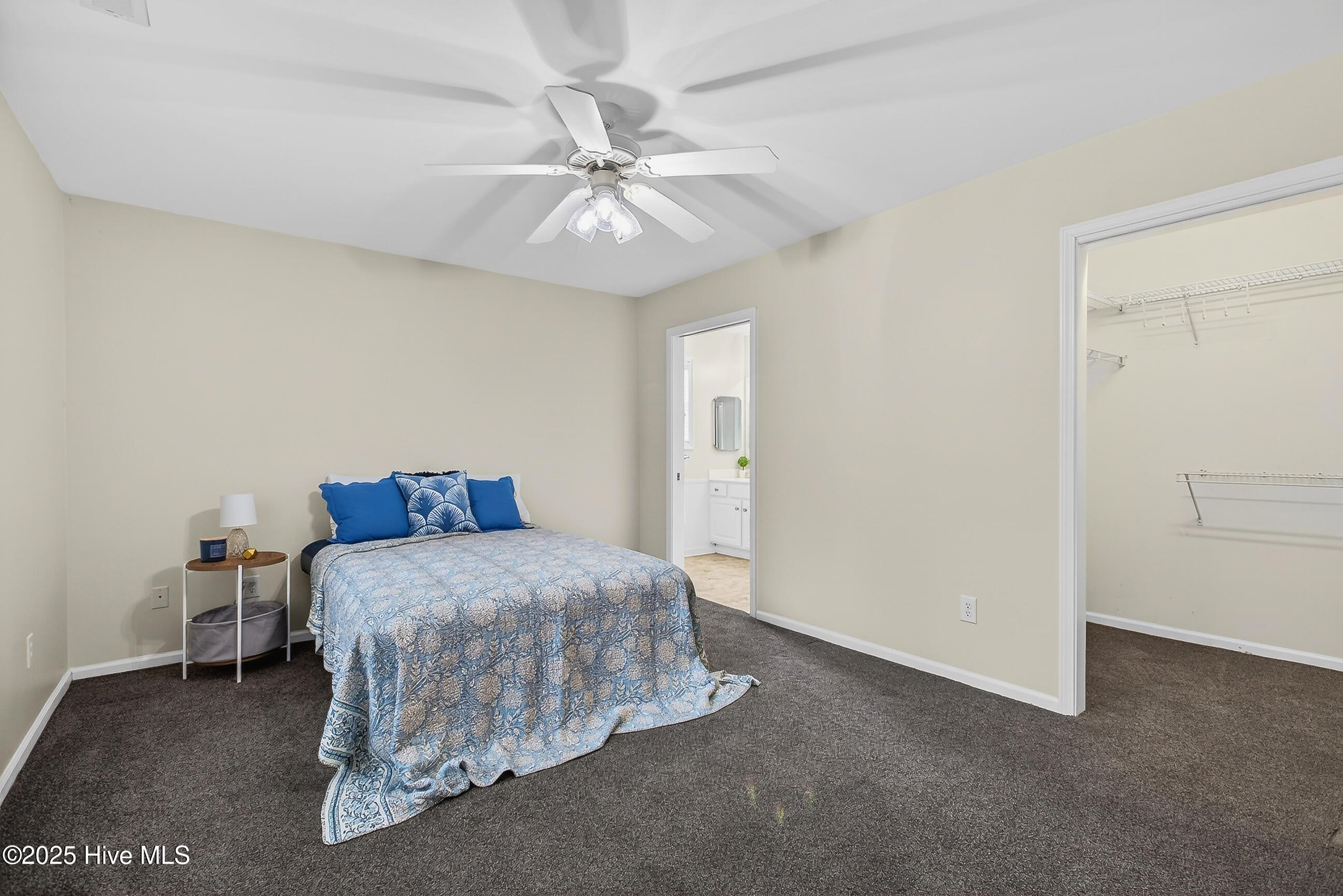 100546010 | Photo 21