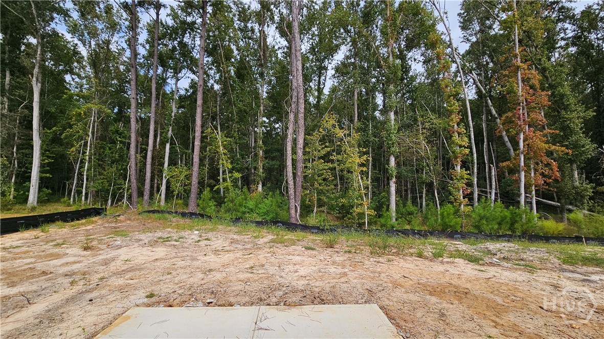 Wooded Back Yard View and on Cul de Sac.