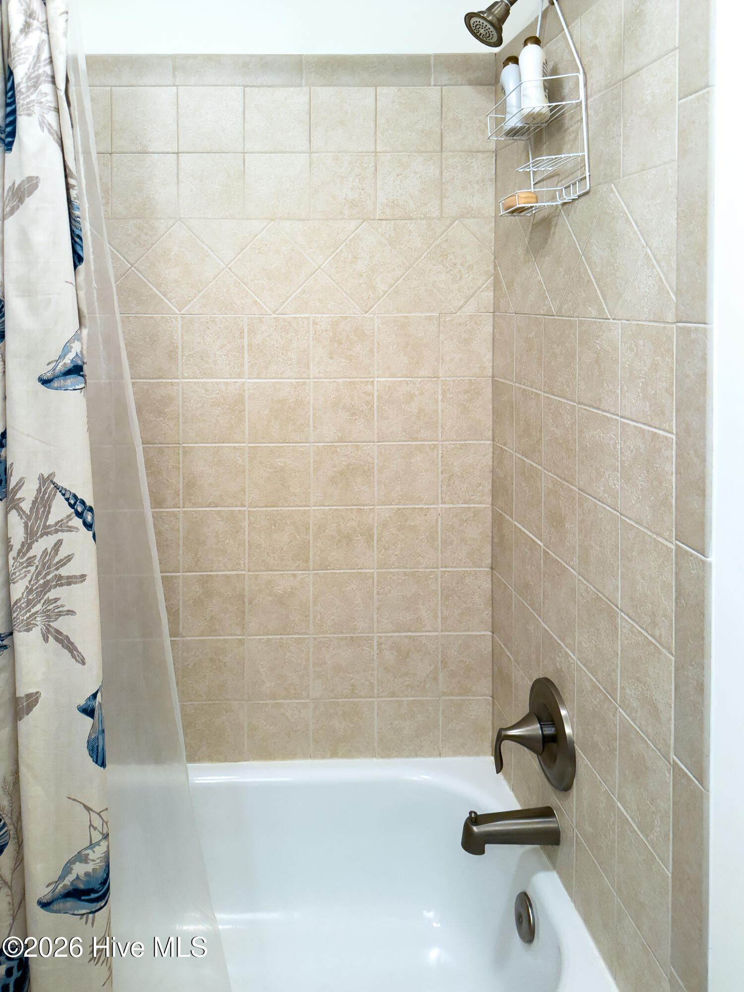 100563119 | Photo 55