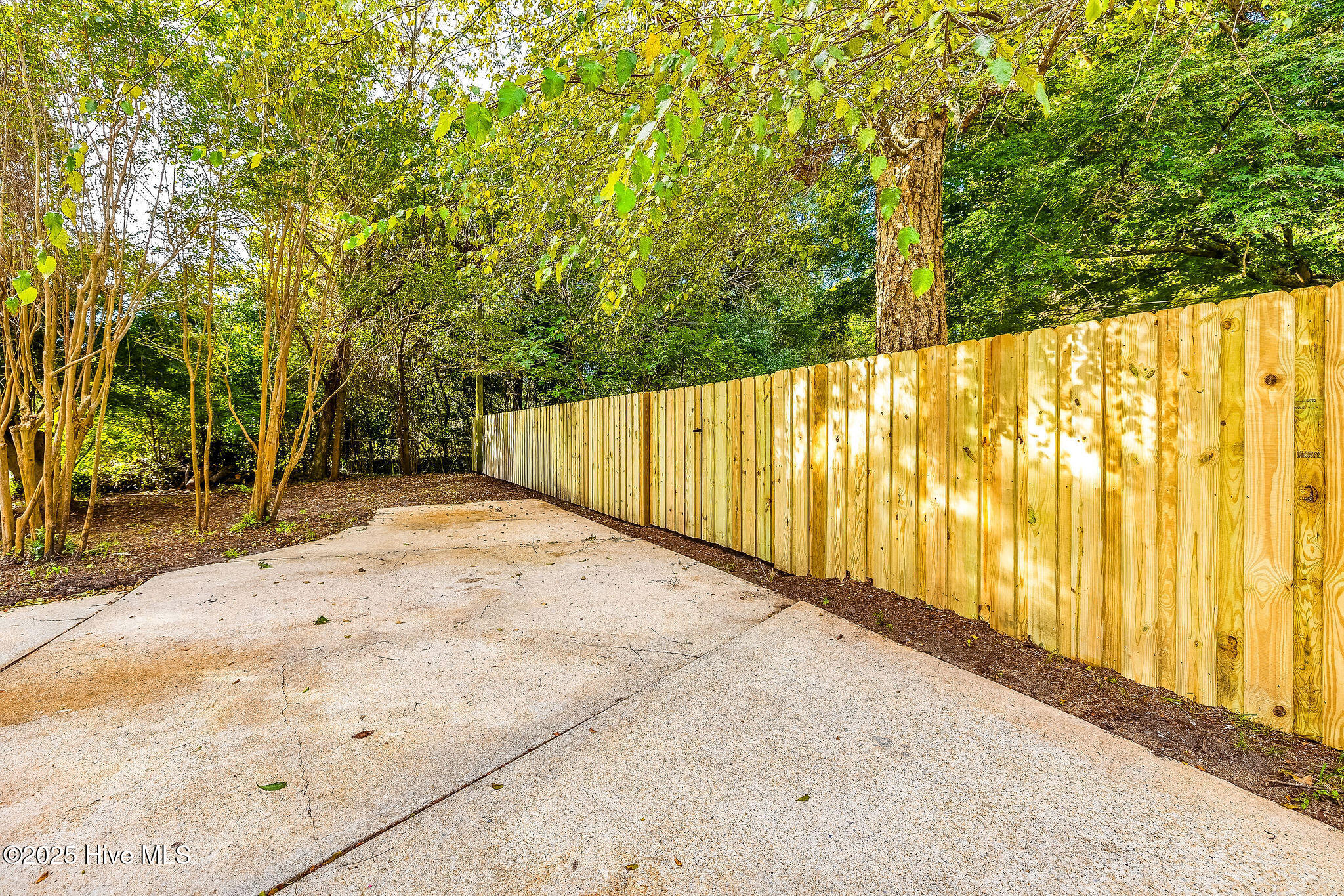 100529892 | Photo 38