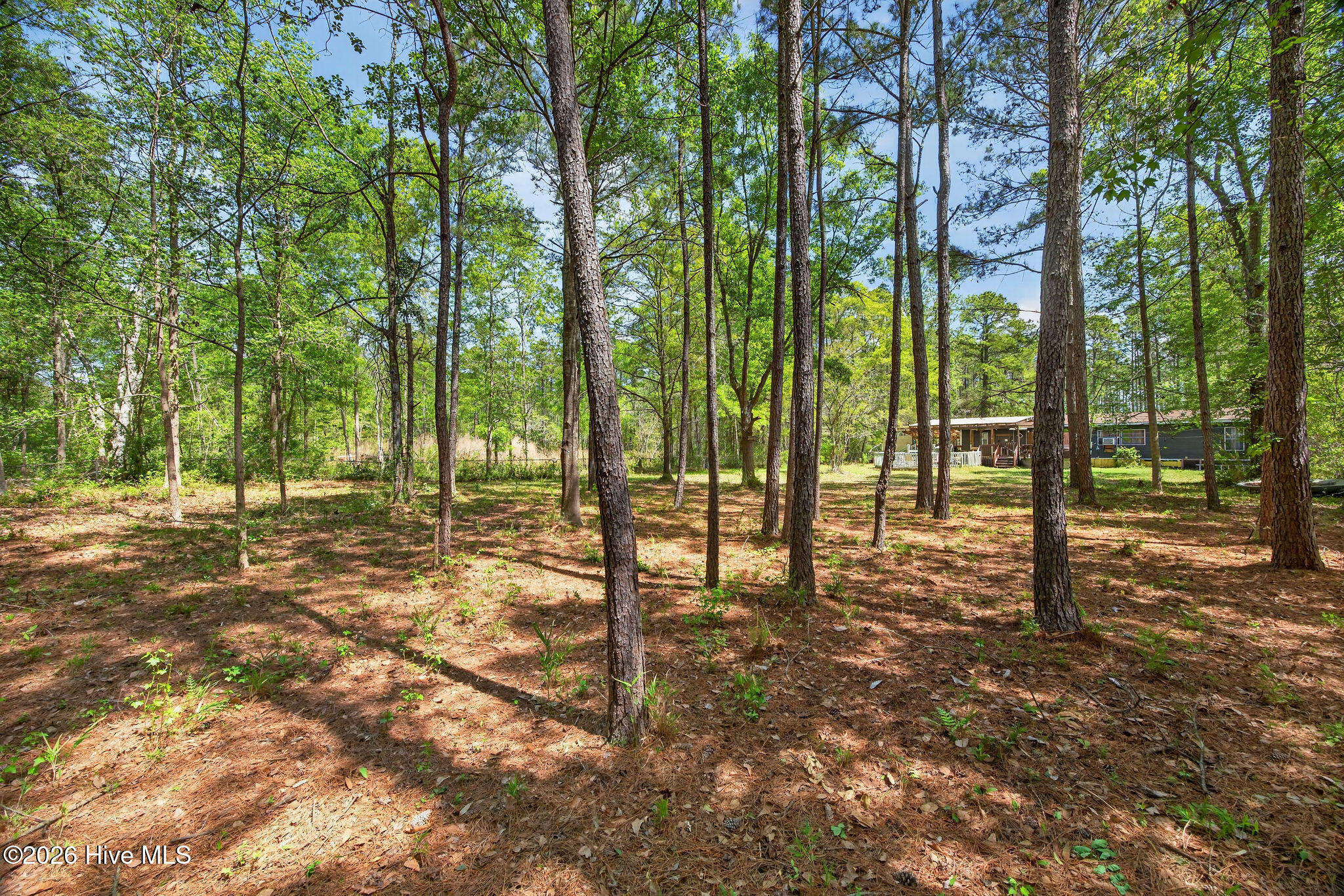 100566333 | Photo 41