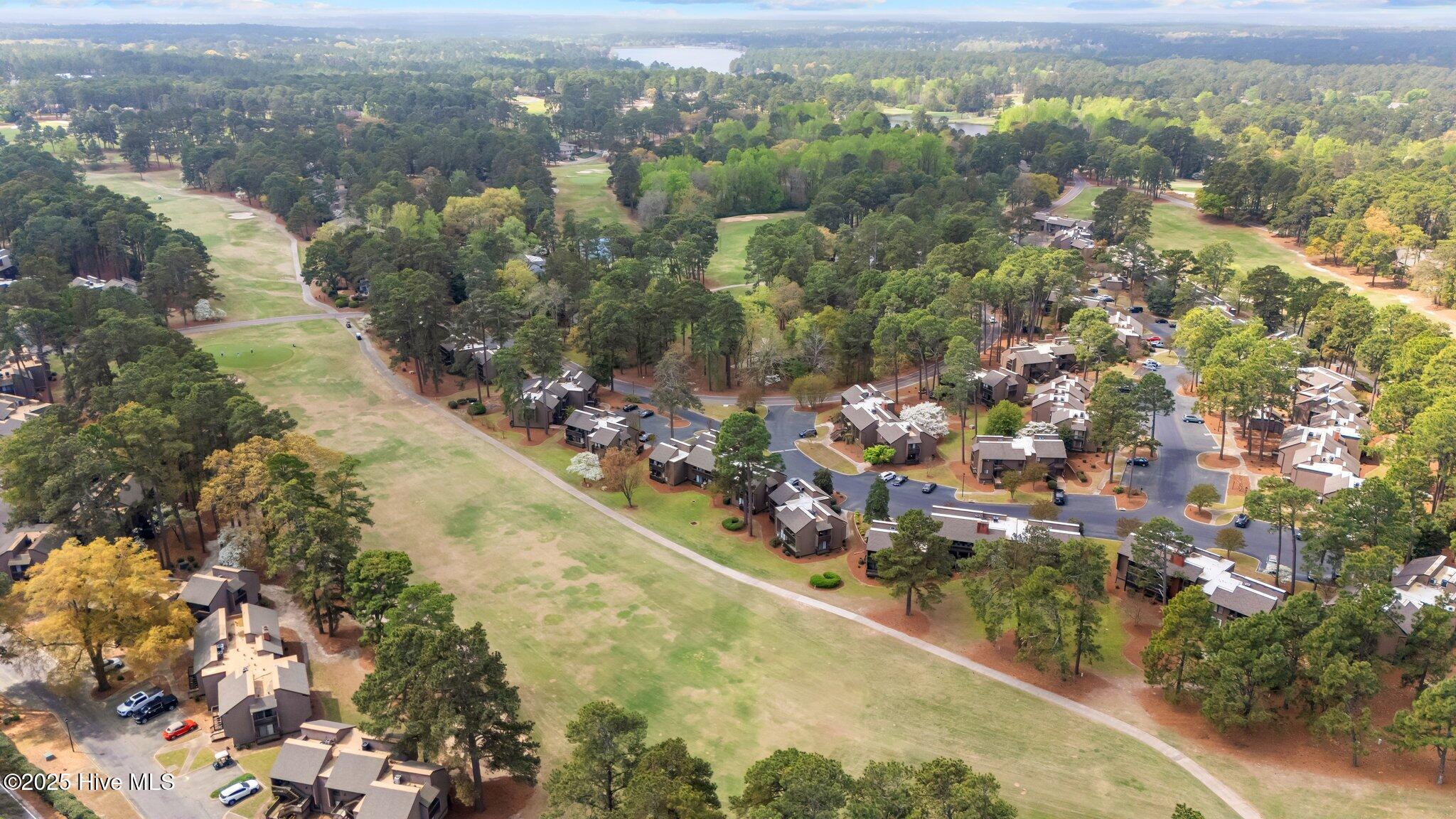 5 Pine Tree Road 211