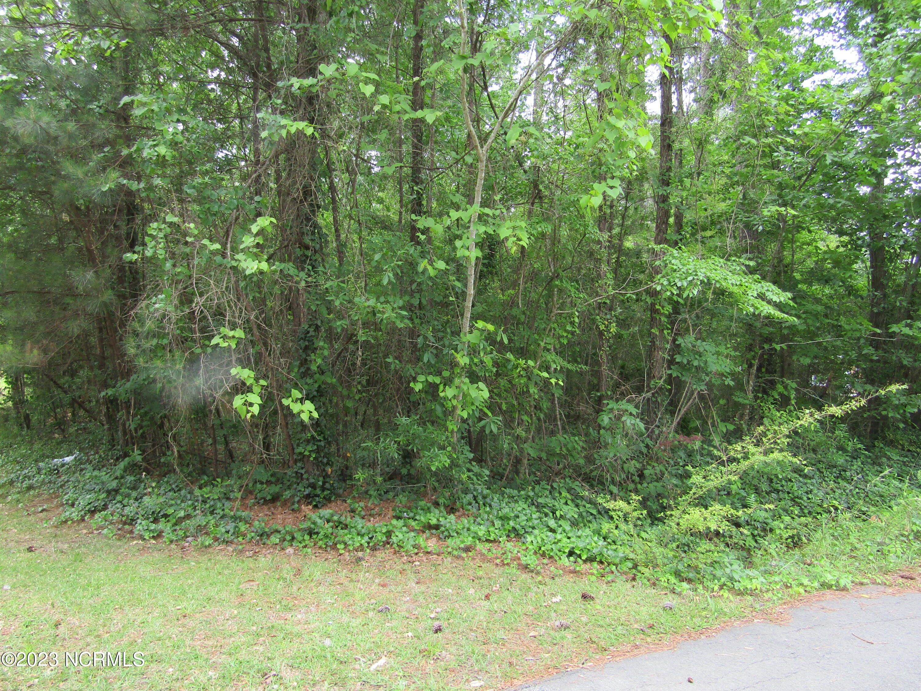 Lot 8 Quail Drive, Plymouth, NC, 27962