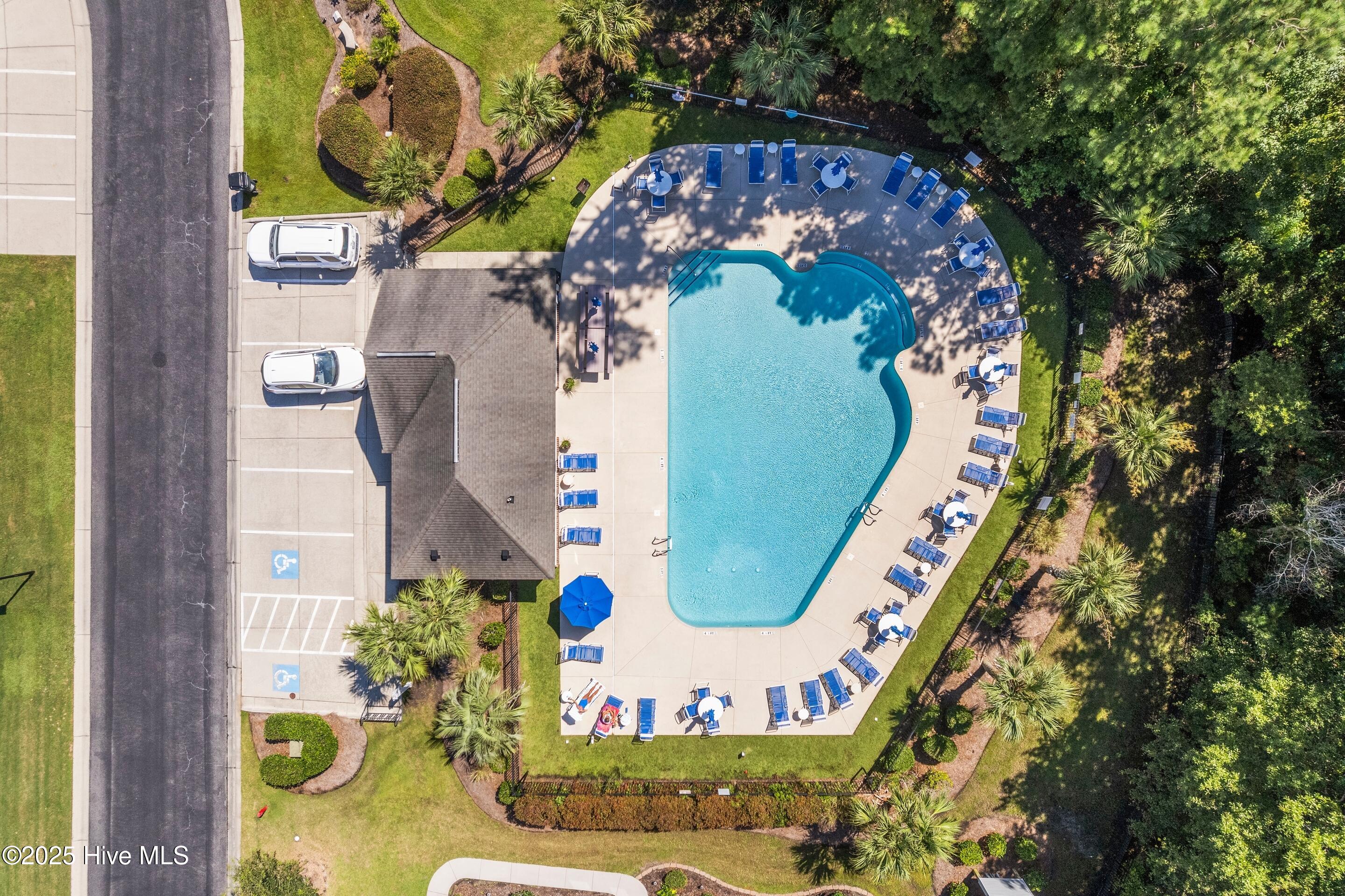 100528231 | Photo 51