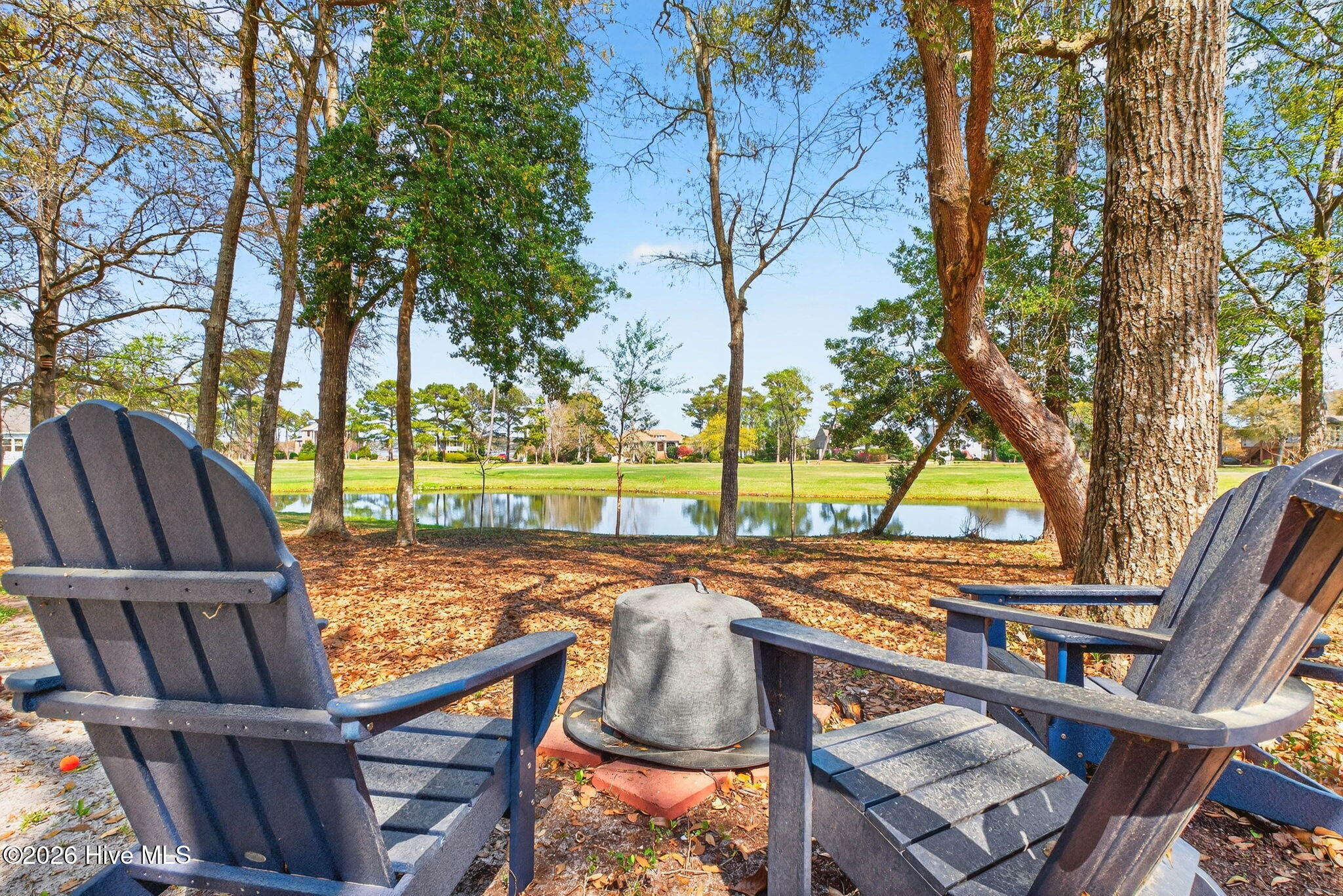 100564885 | Photo 76