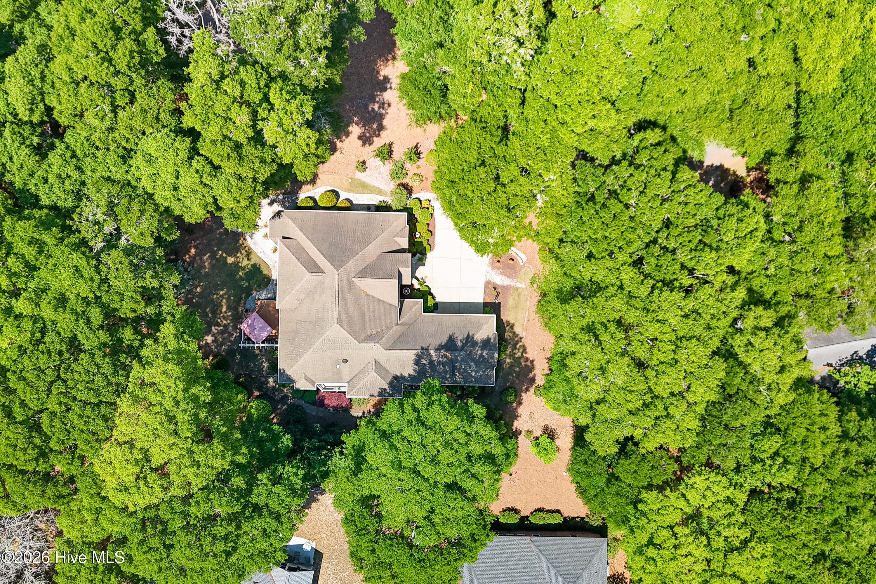 100570031 | Photo 58