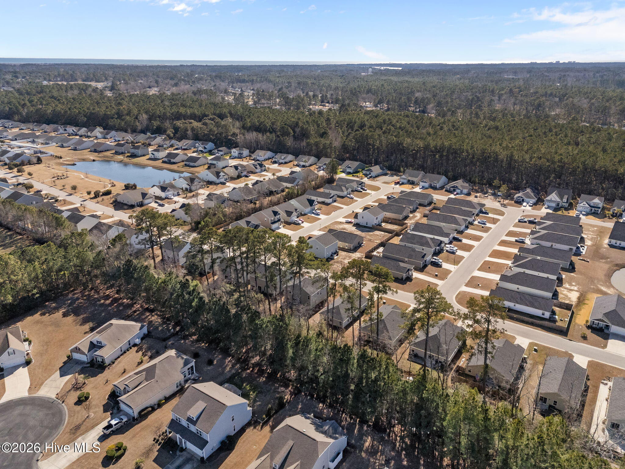 100551774 | Photo 49