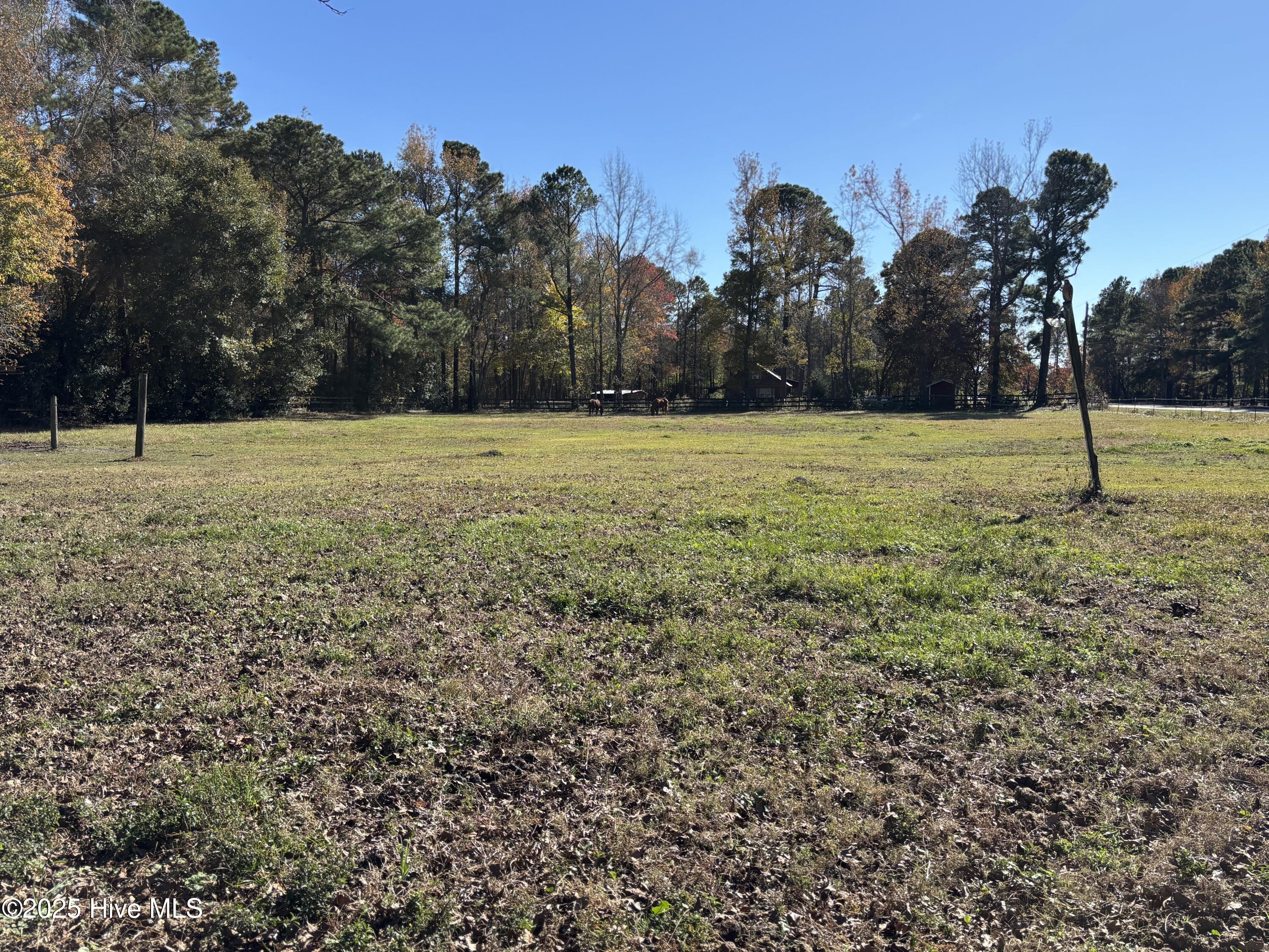 100542459 | Photo 40