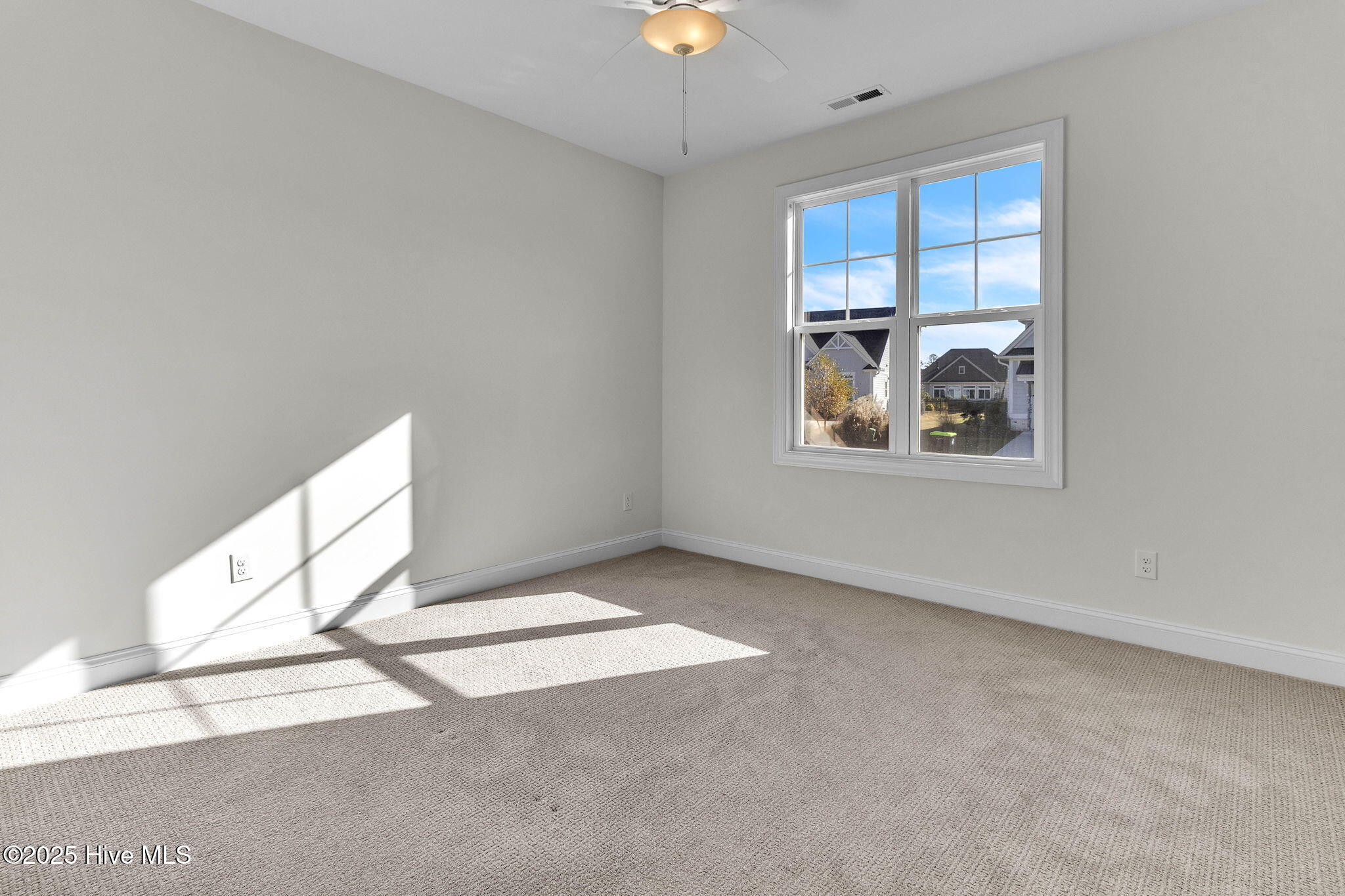 100543605 | Photo 23