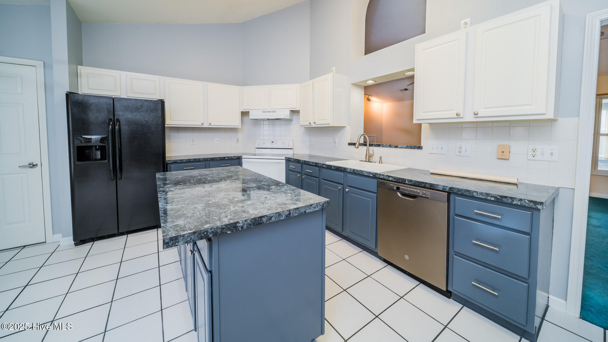 100532169 | Photo 15