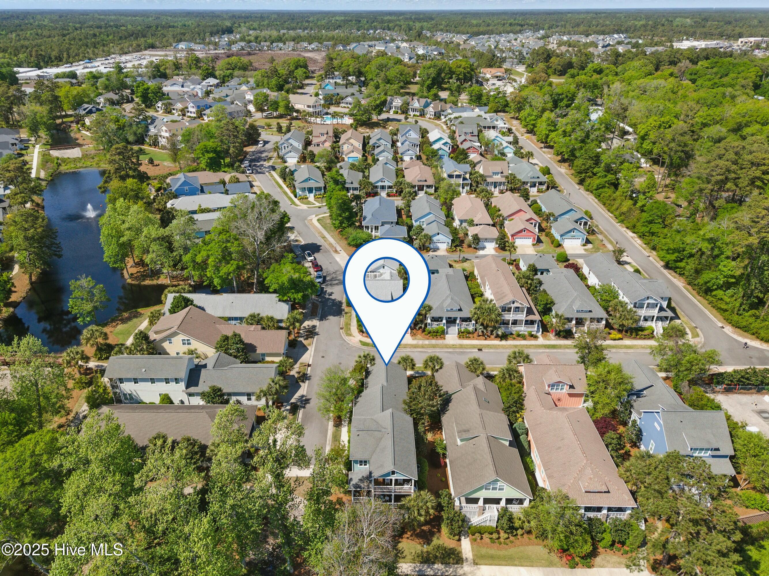 100503387 | Photo 45