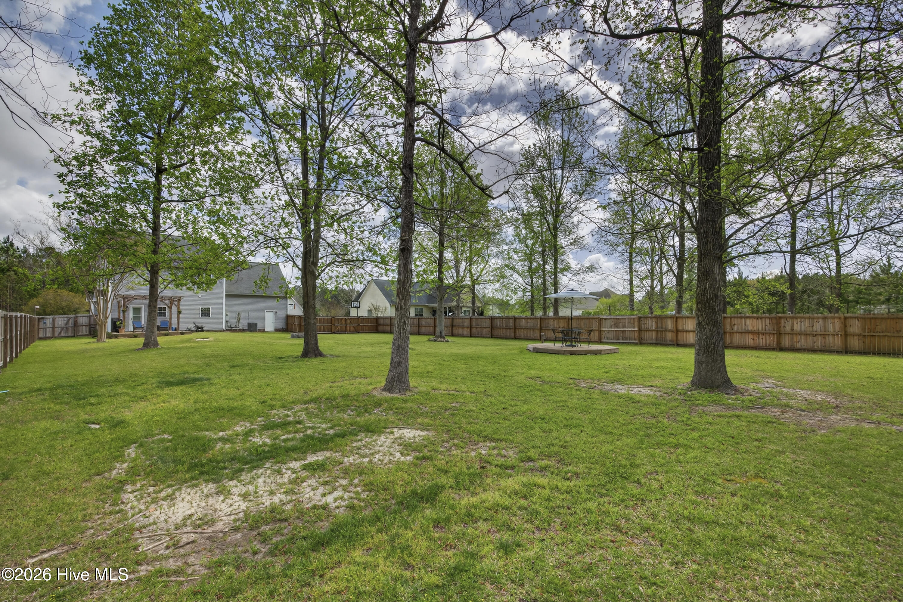 100565225 | Photo 15