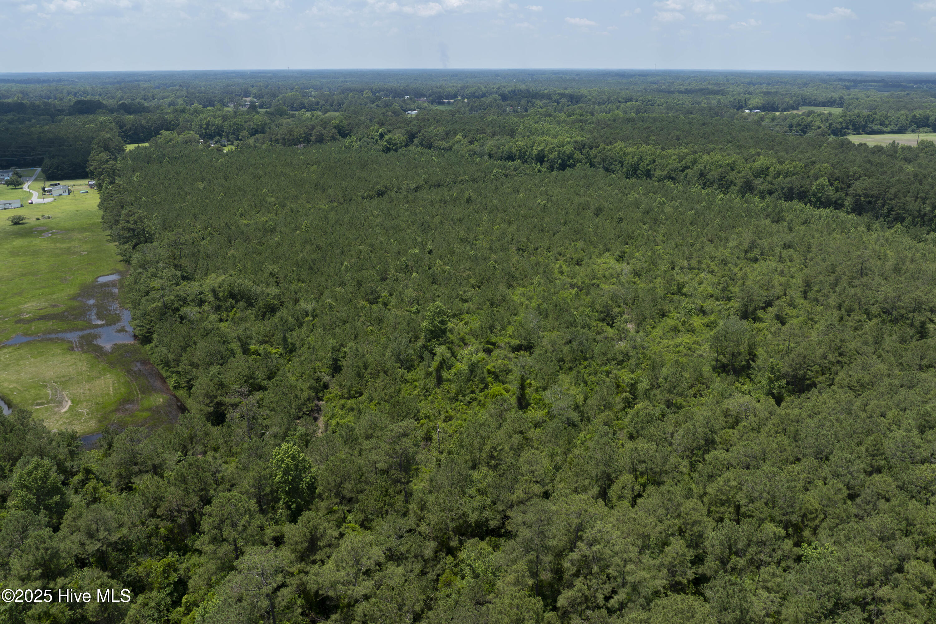 100516949 | Photo 17