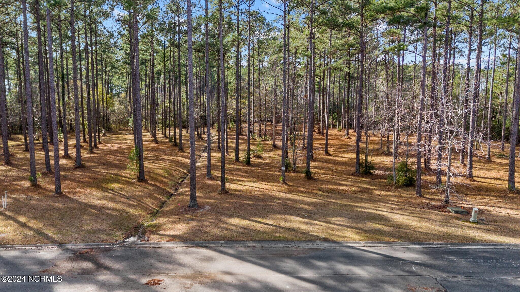 137 Lot 31 Ocracoke Drive,Oriental