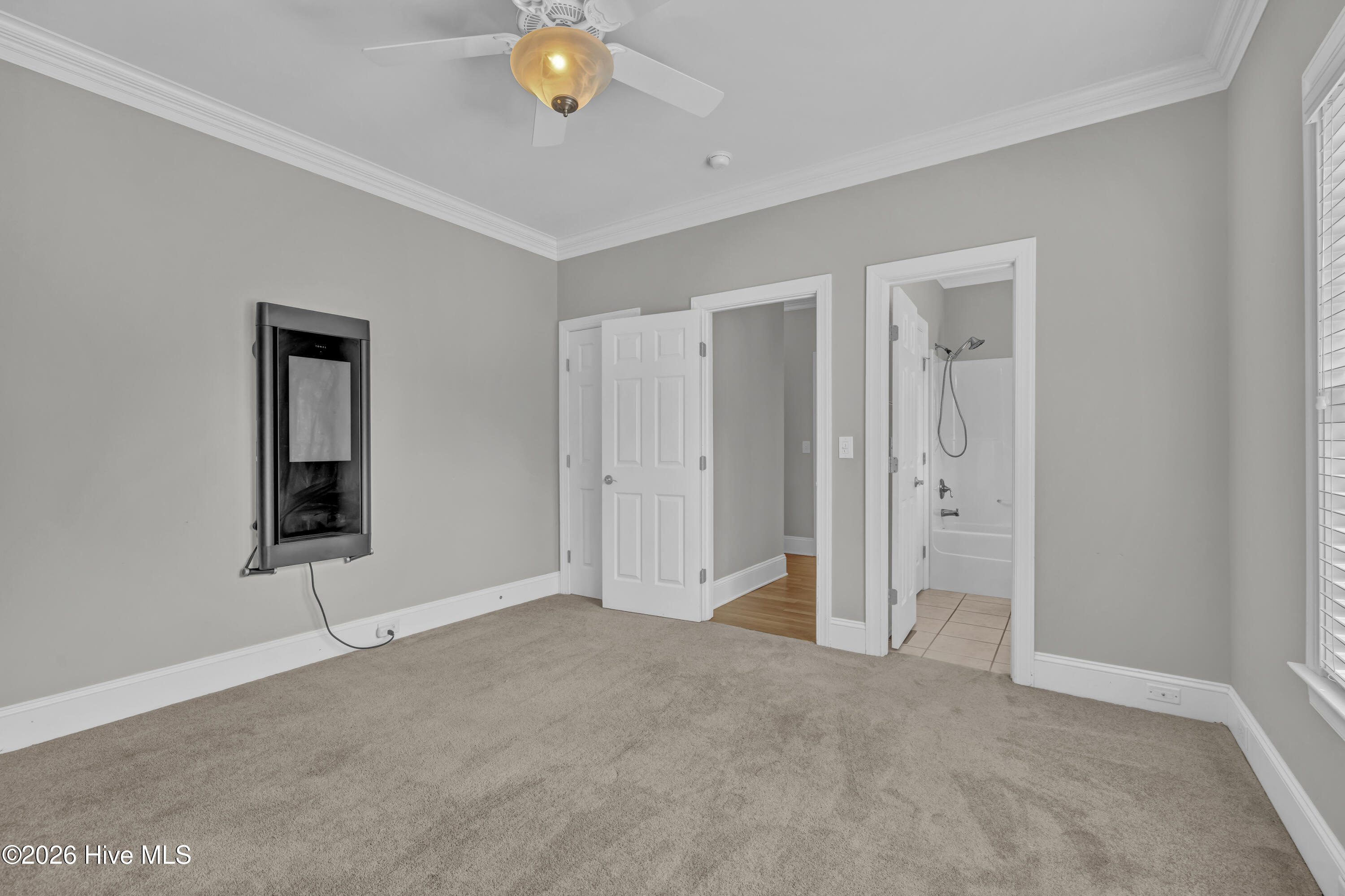 100555649 | Photo 17