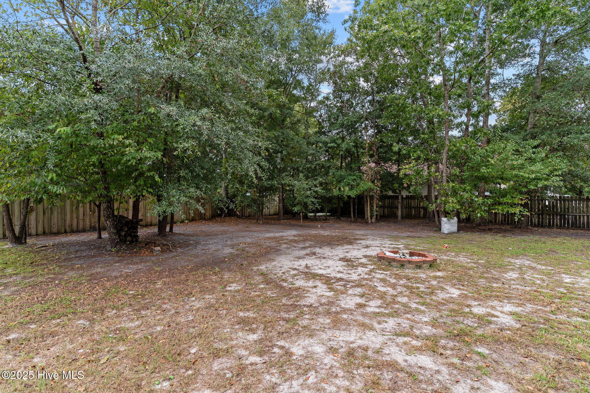 100537079 | Photo 44