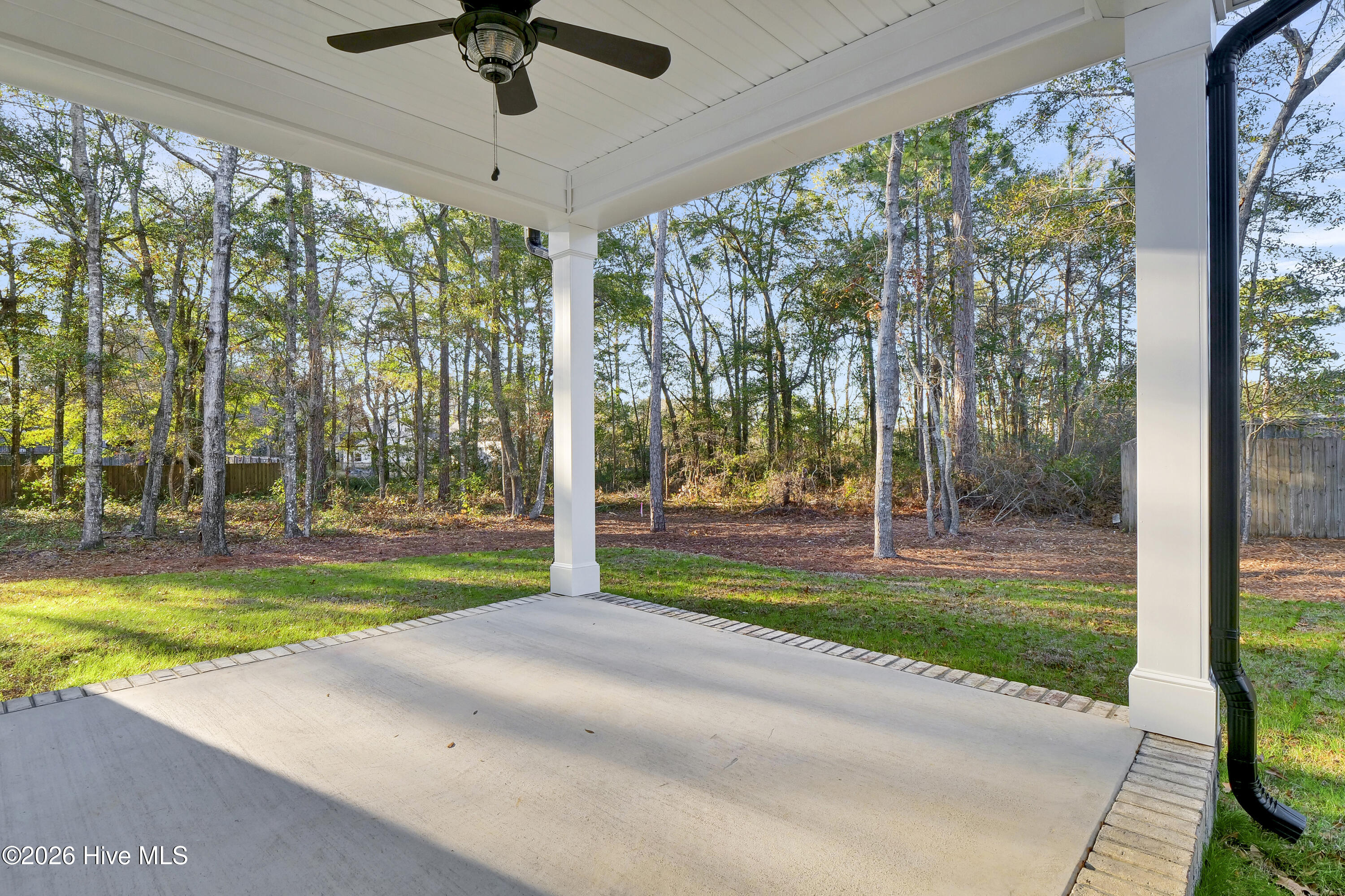 100550236 | Photo 38