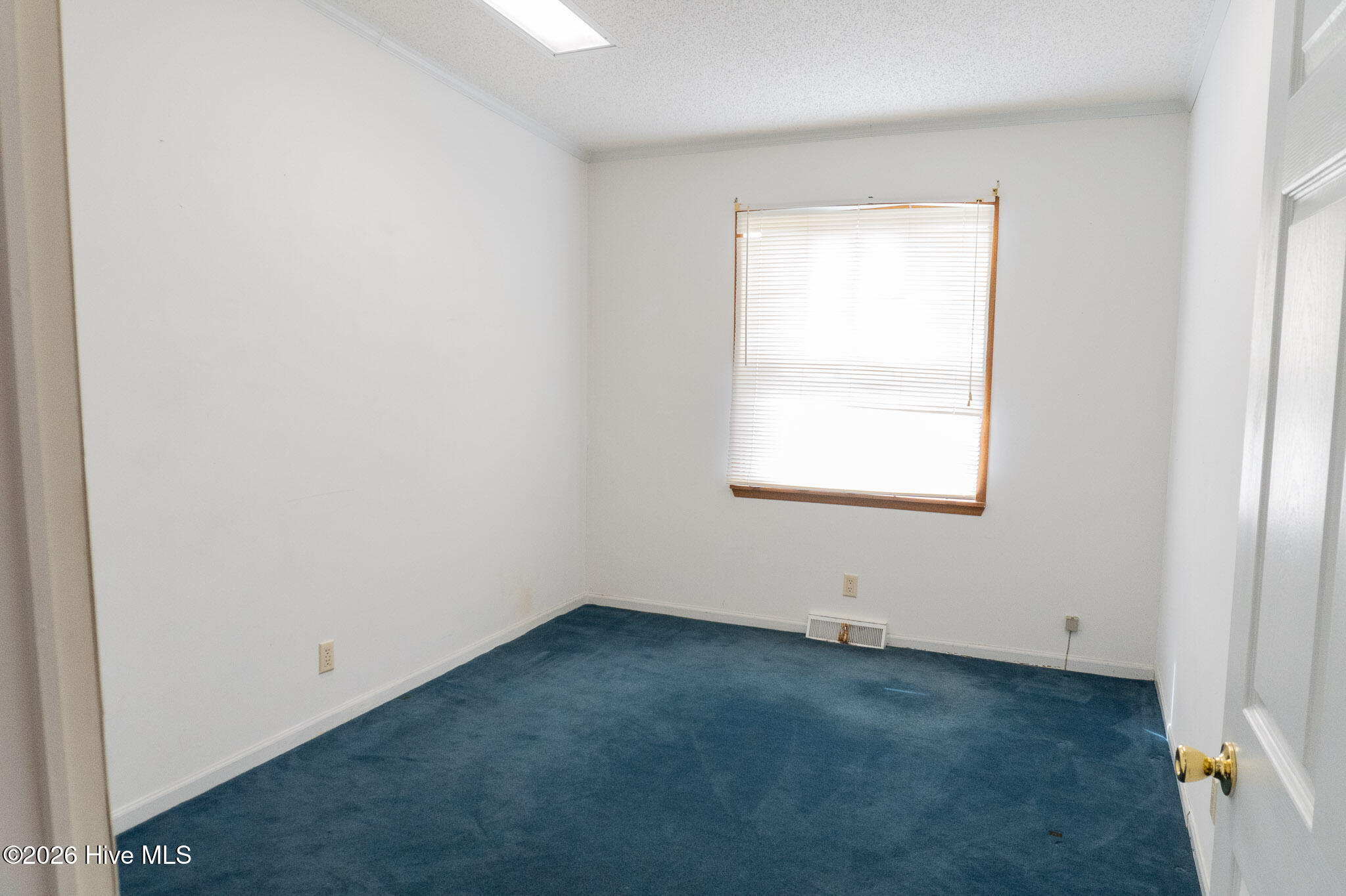 100561014 | Photo 11