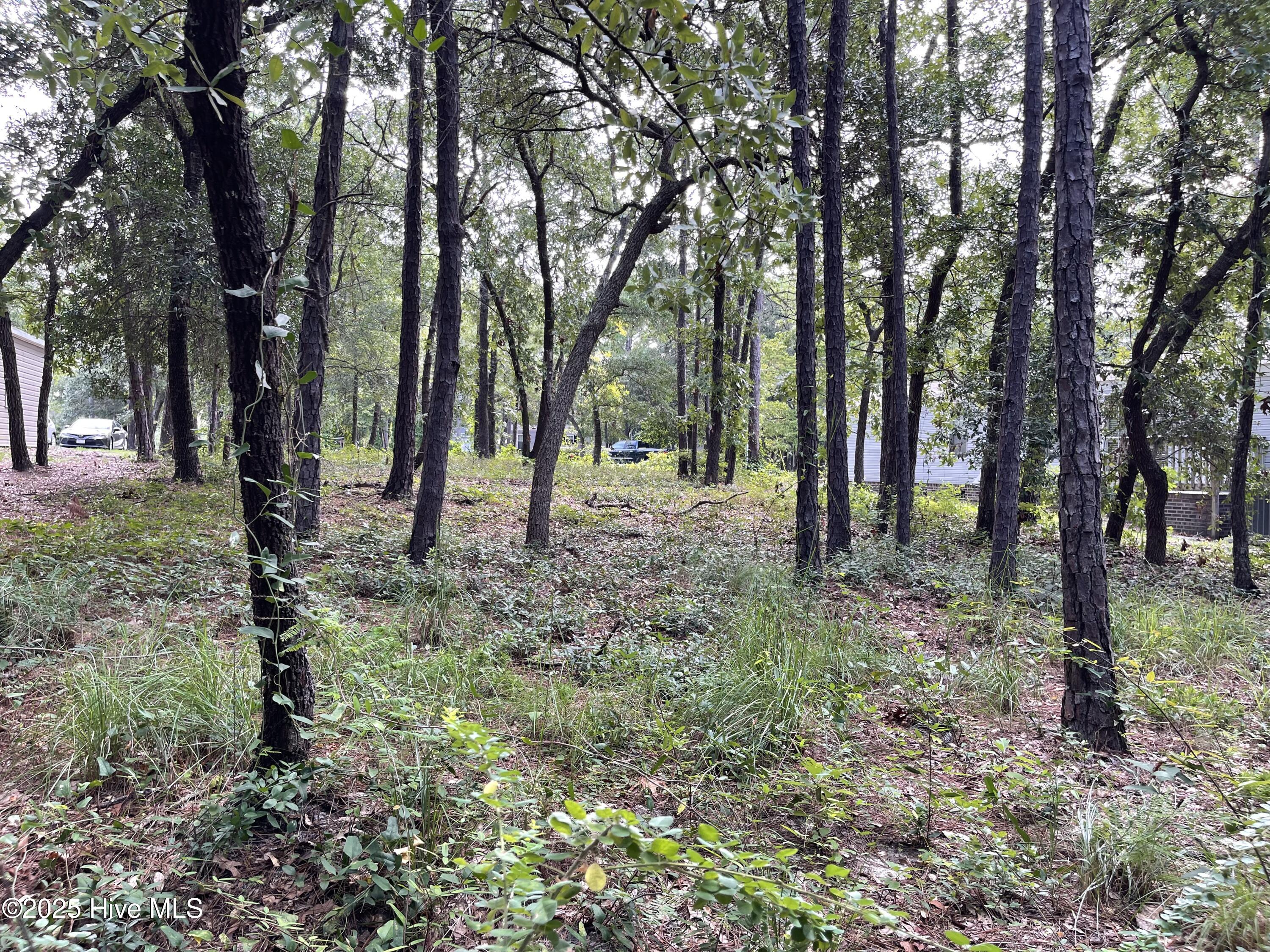 100526164 | Photo 11