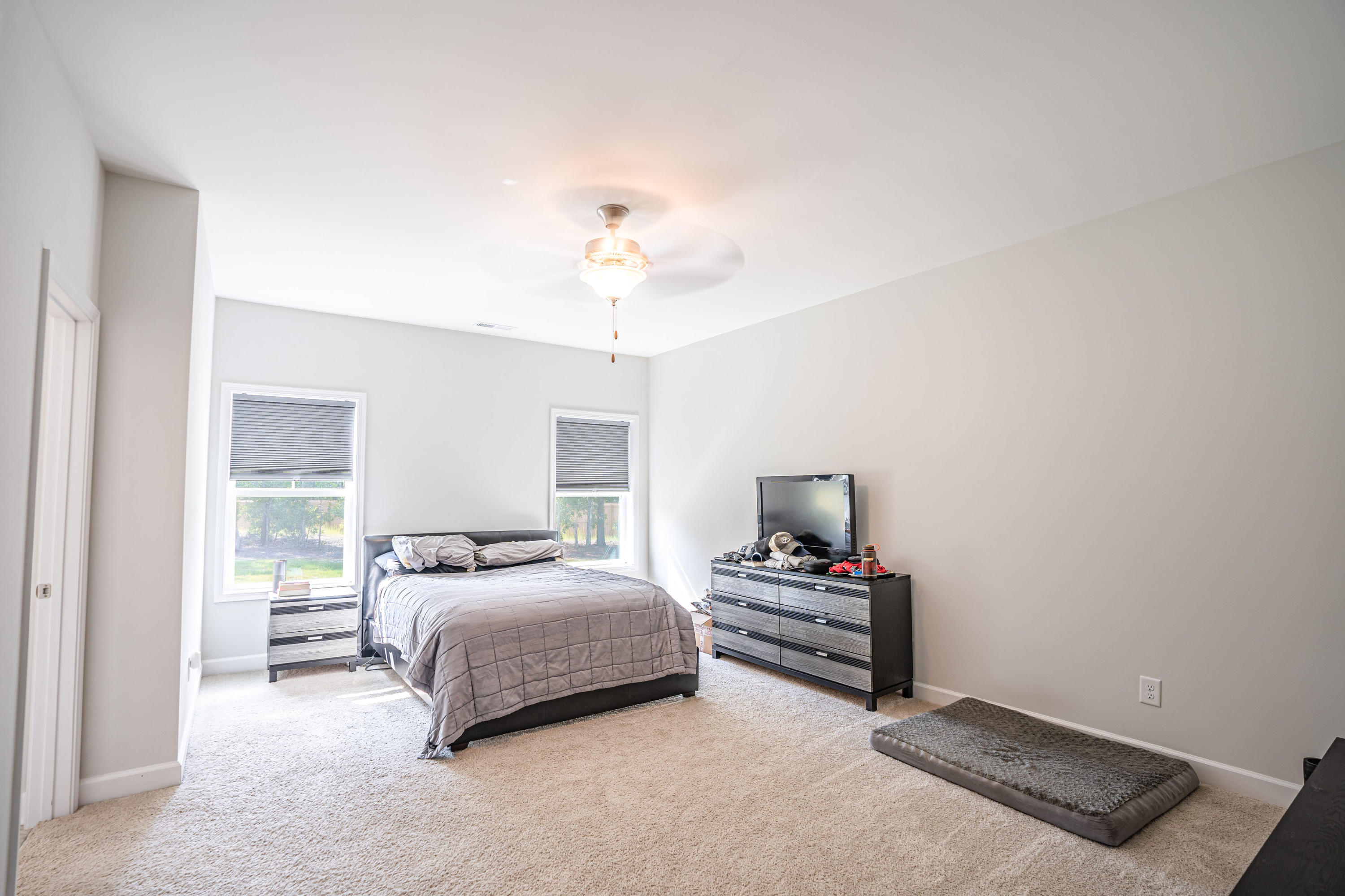 1295 Whitney Drive