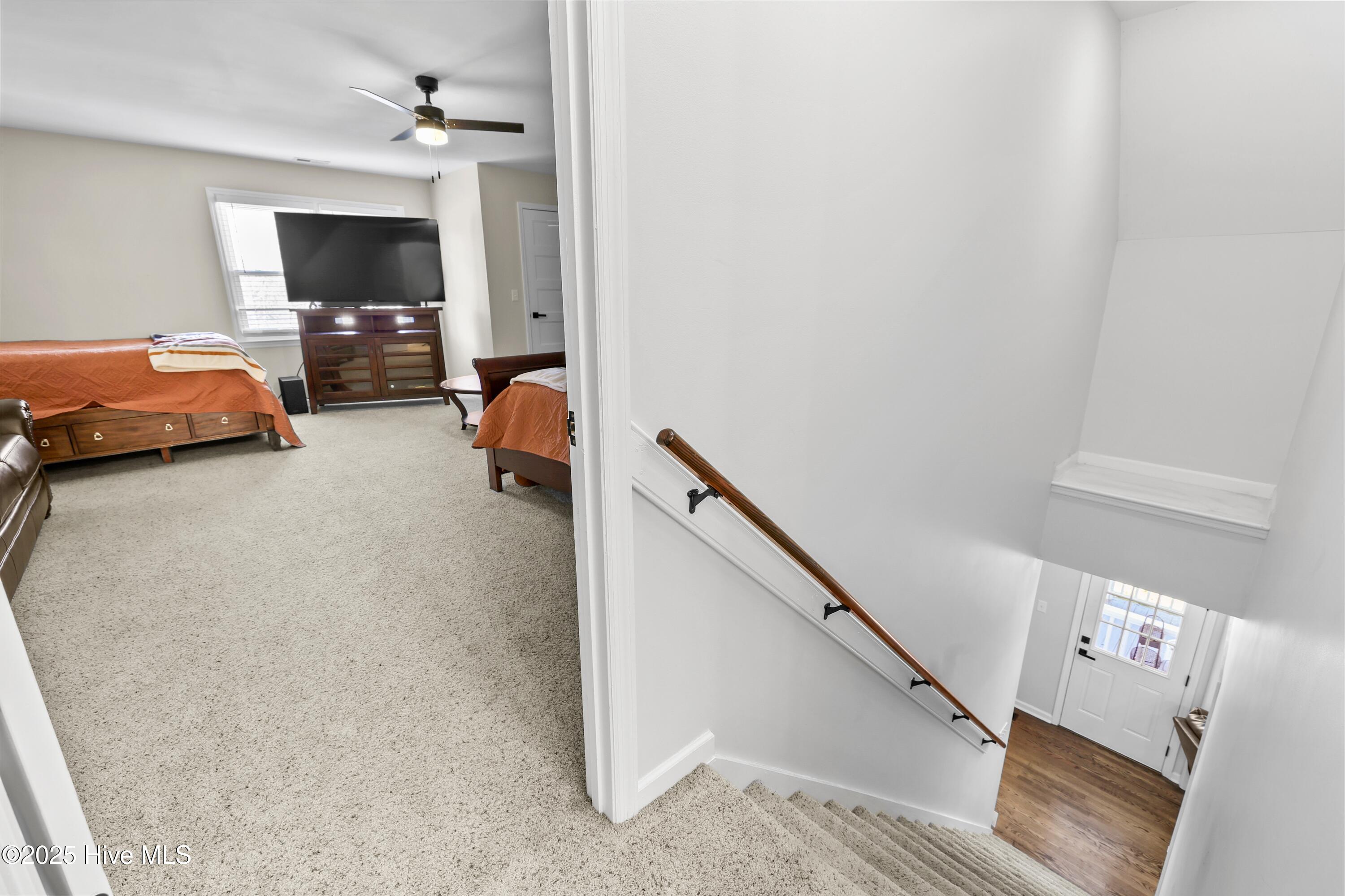 100494735 | Photo 47