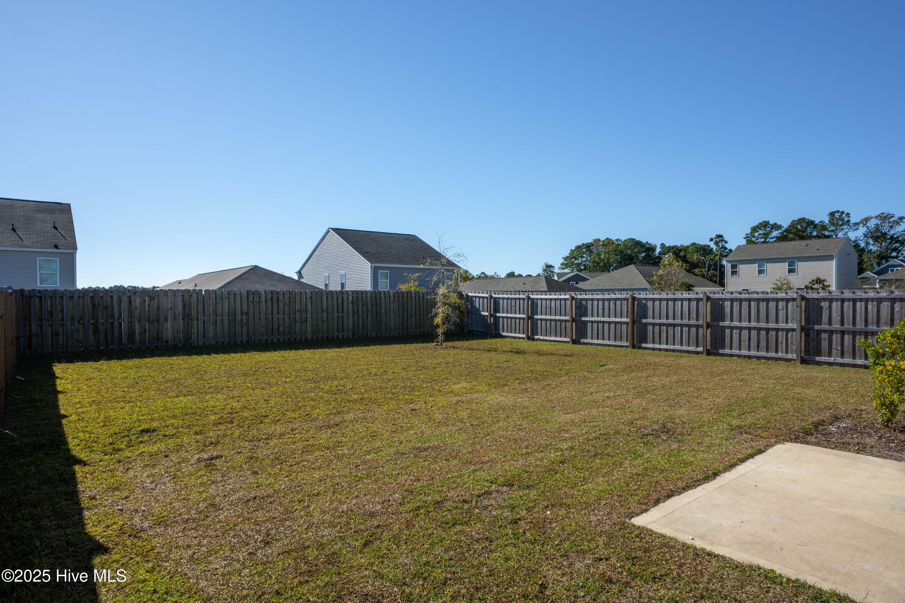 100538124 | Photo 31