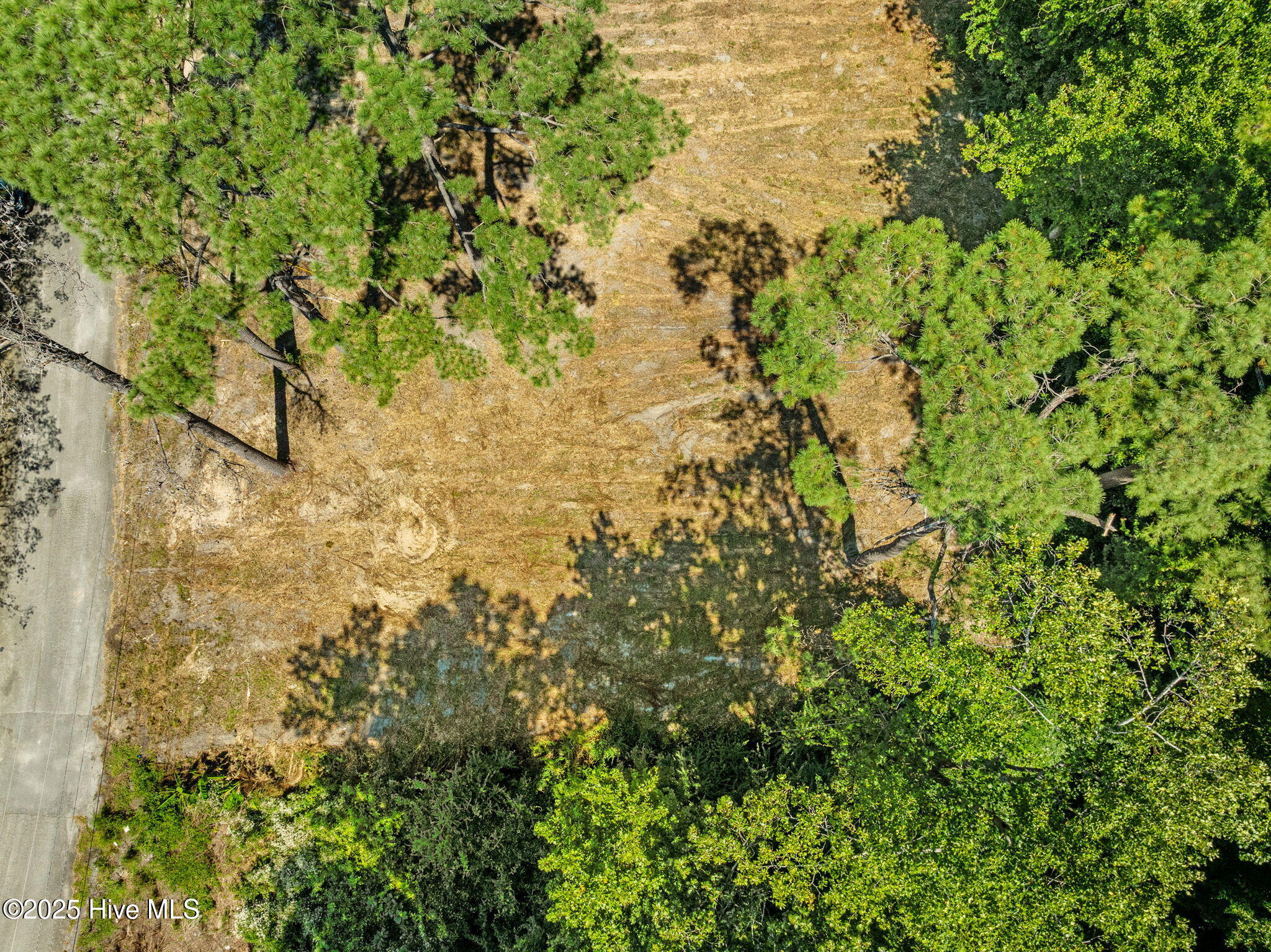 100529346 | Photo 17