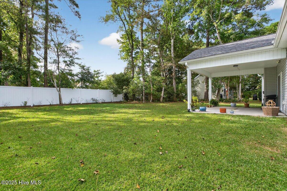 100533922 | Photo 37