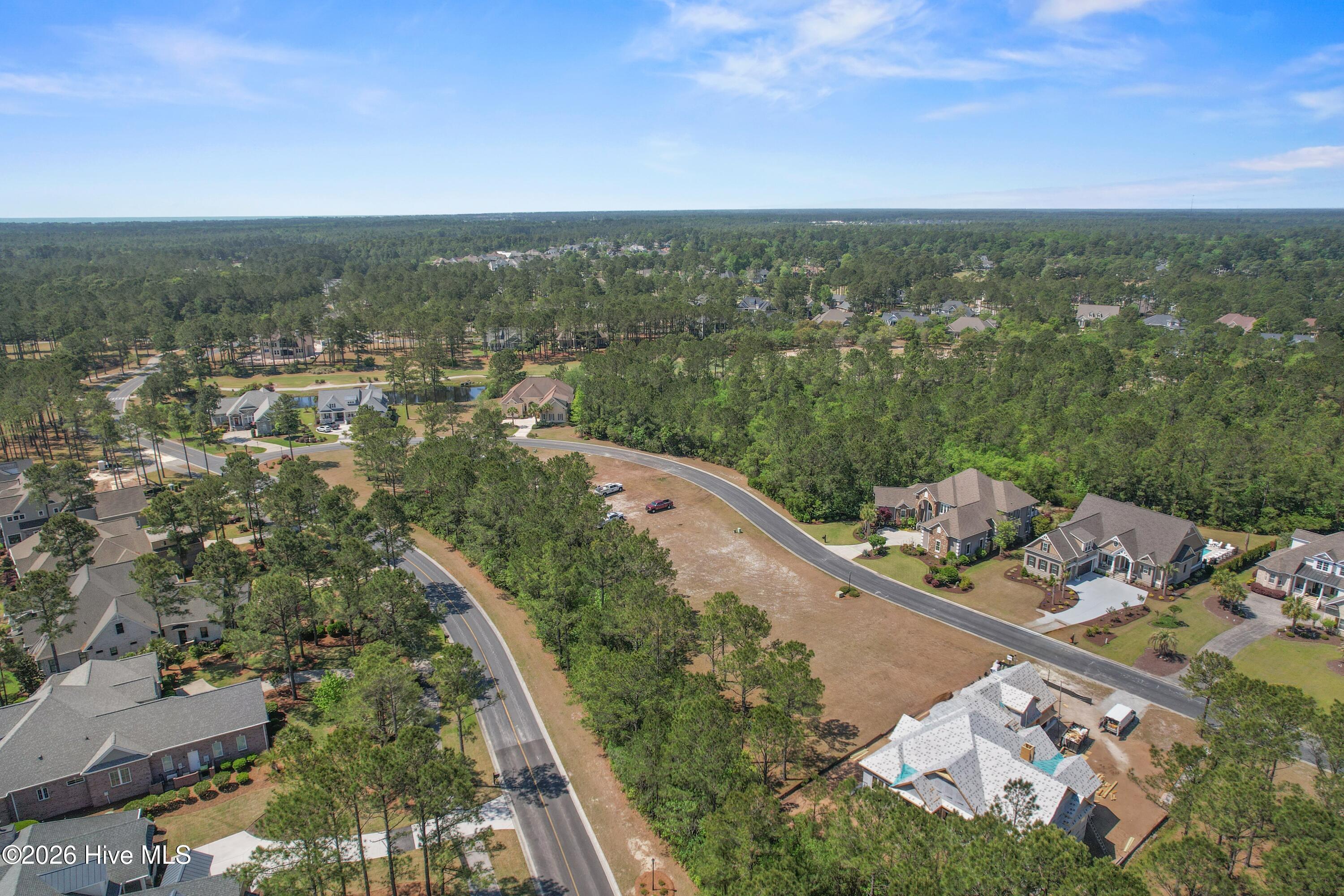 100570041 | Photo 13