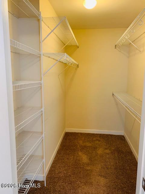 100554241 | Photo 11