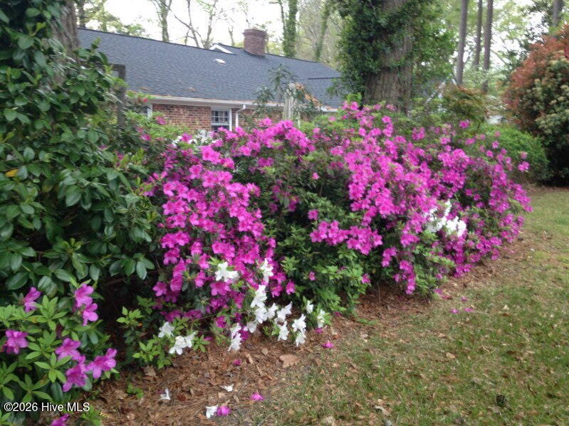 Homes for sale in Williamston, NC | 903 E Woodlawn Dr, Williamston, NC 27892 | MLS# 100540329