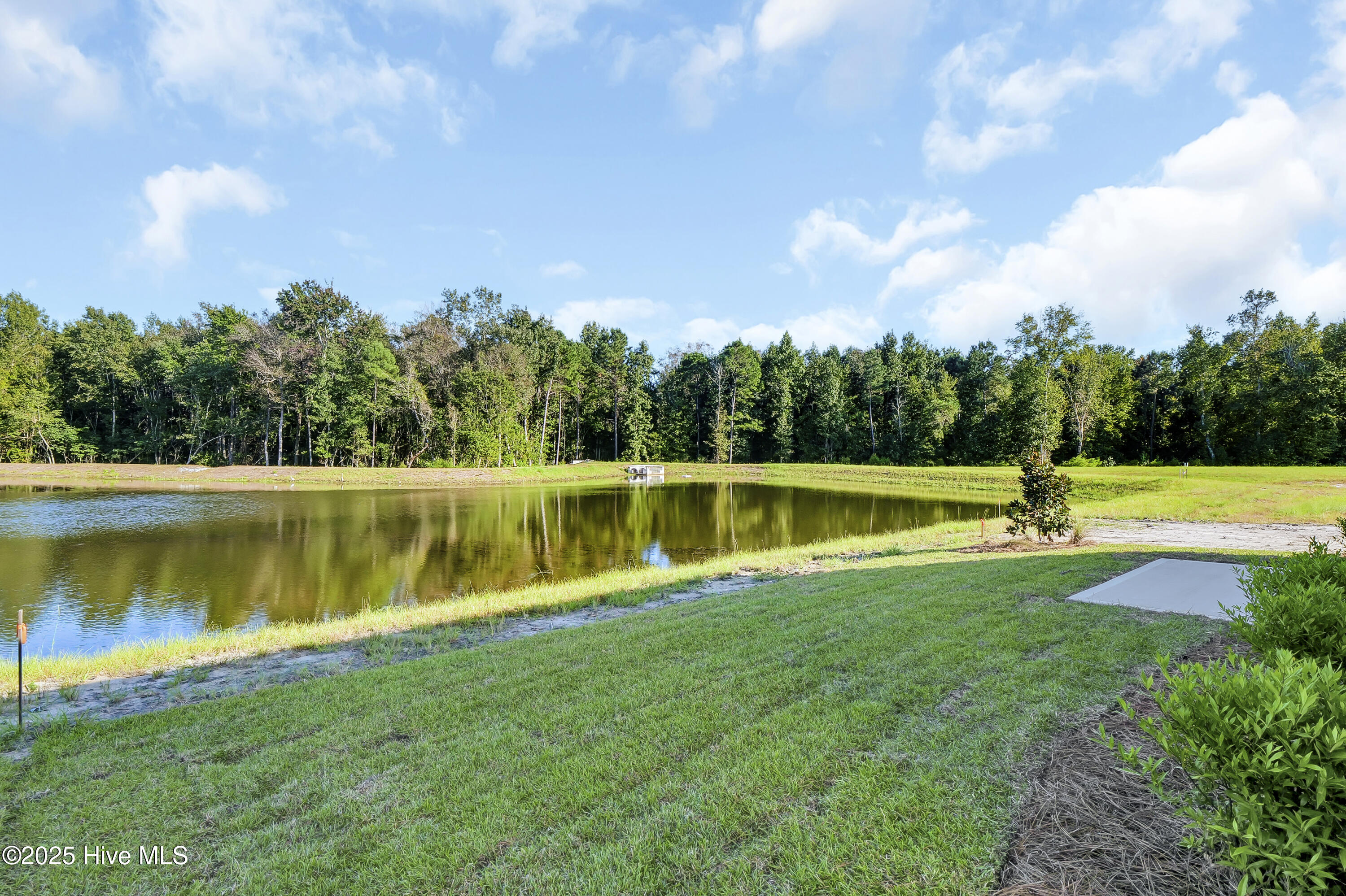 100524850 | Photo 29