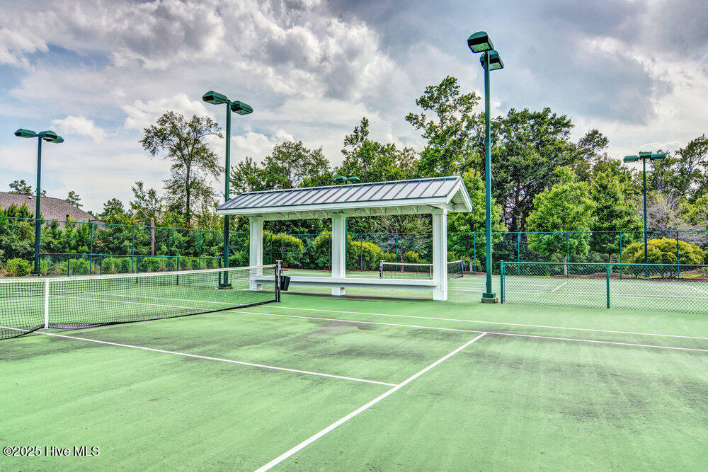 100535537 | Photo 44