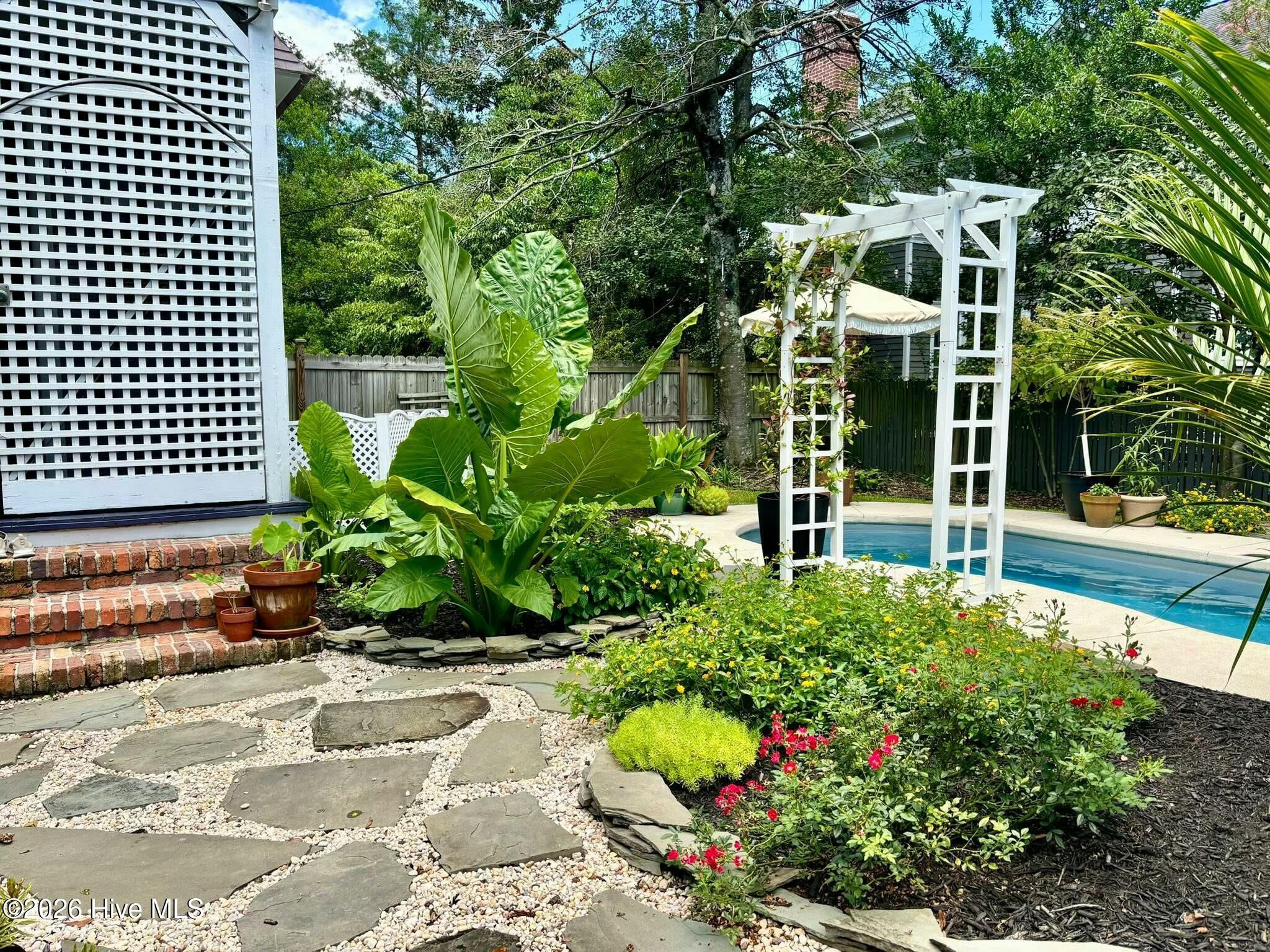 100566277 | Photo 38