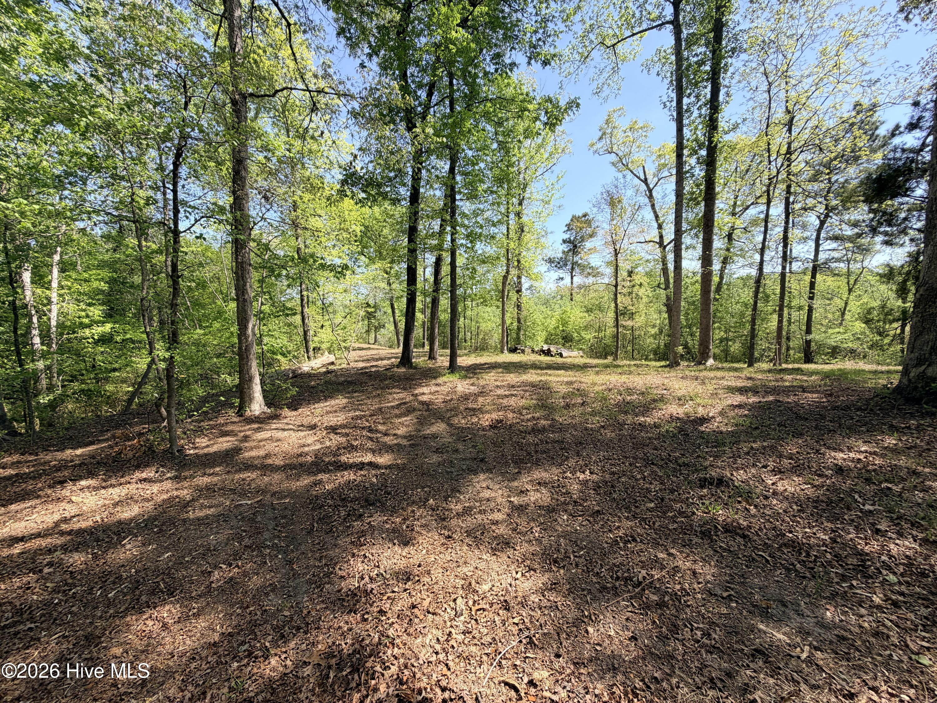 100568145 | Photo 11