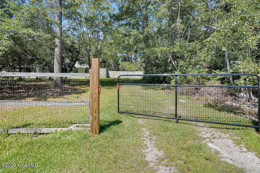 100557409 | Photo 34