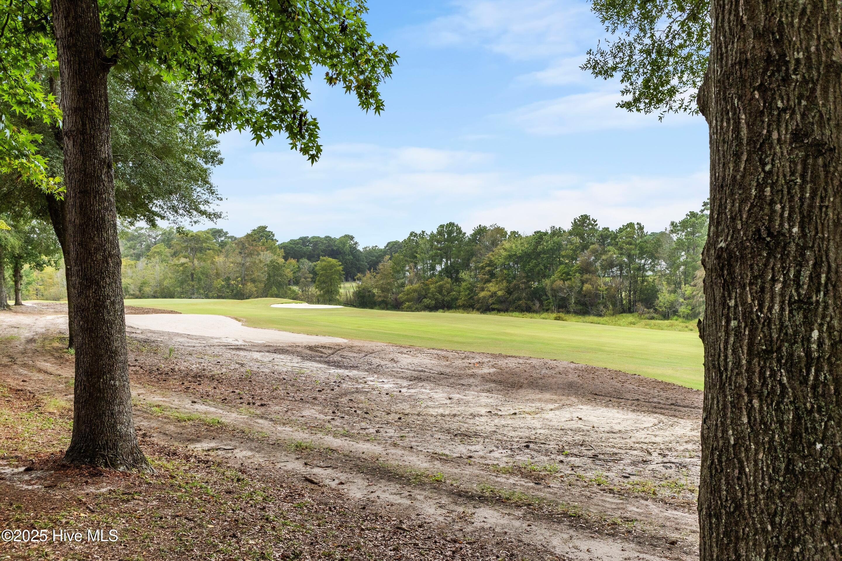 100531128 | Photo 28