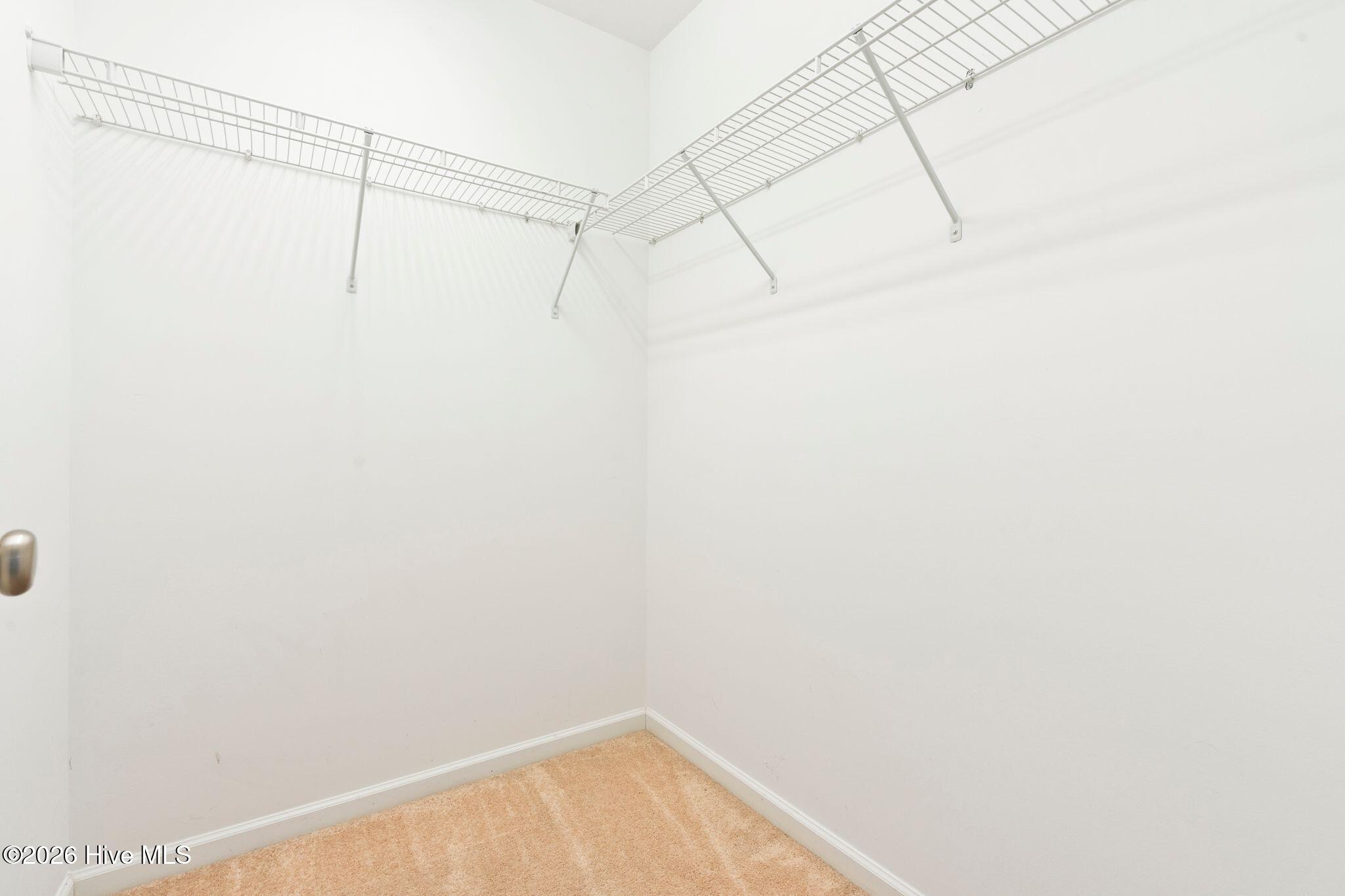 100564909 | Photo 32