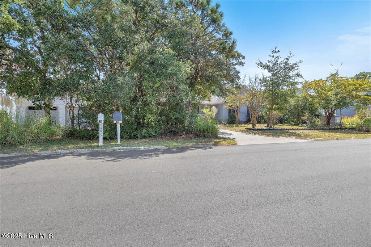 100532549 | Photo 50