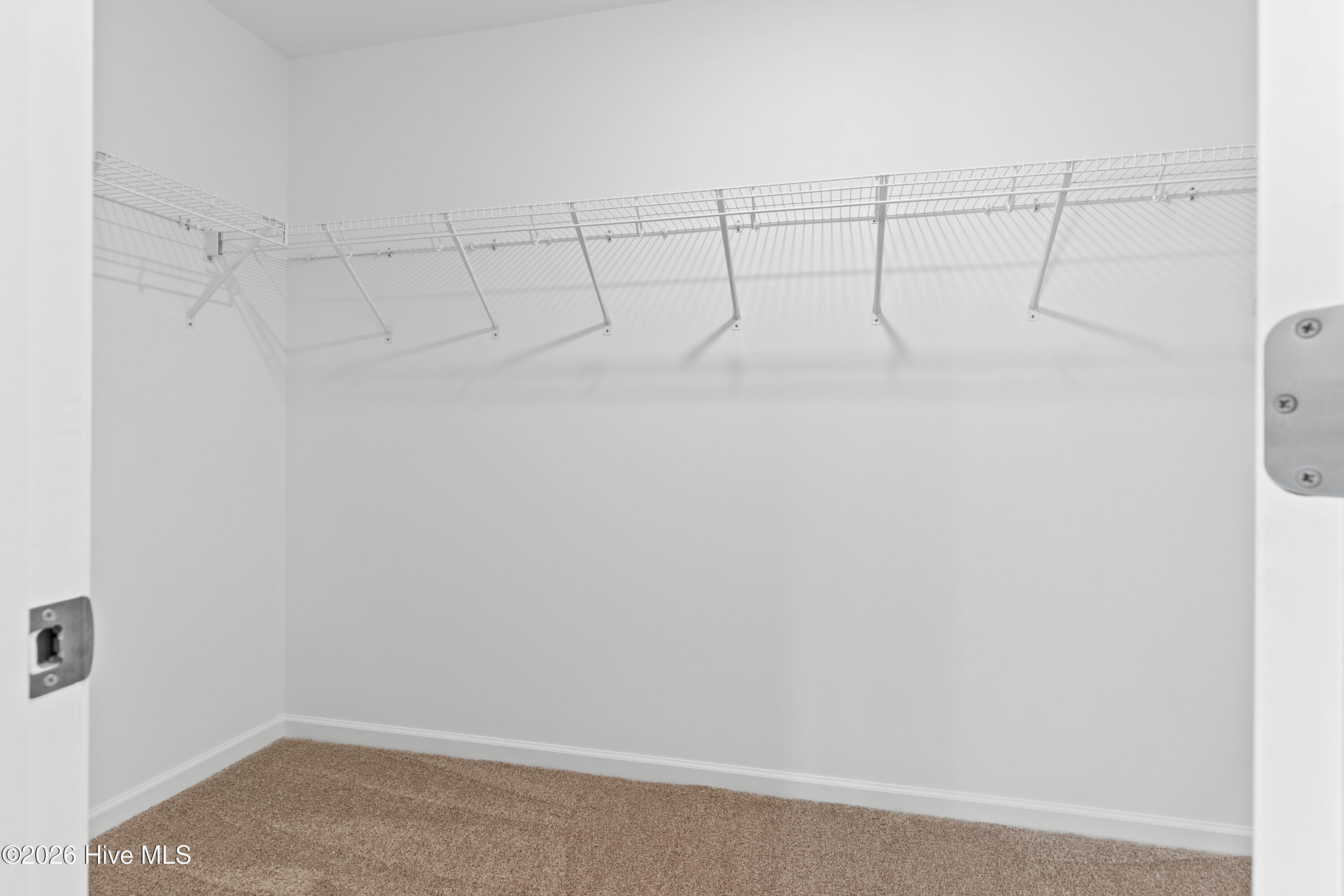 100554240 | Photo 10