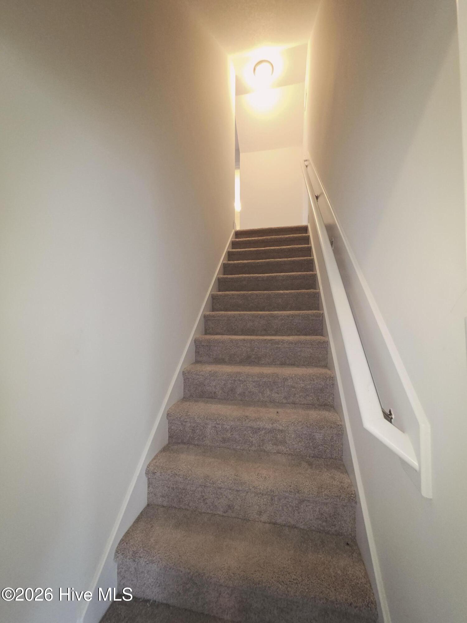 100544481 | Photo 23