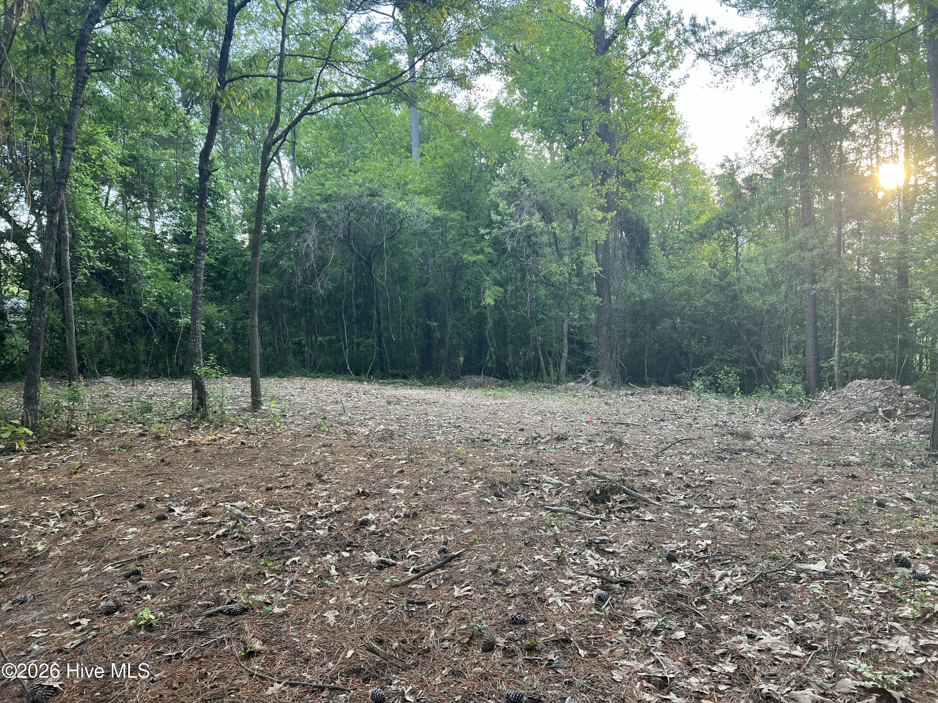 100568158 | Photo 11