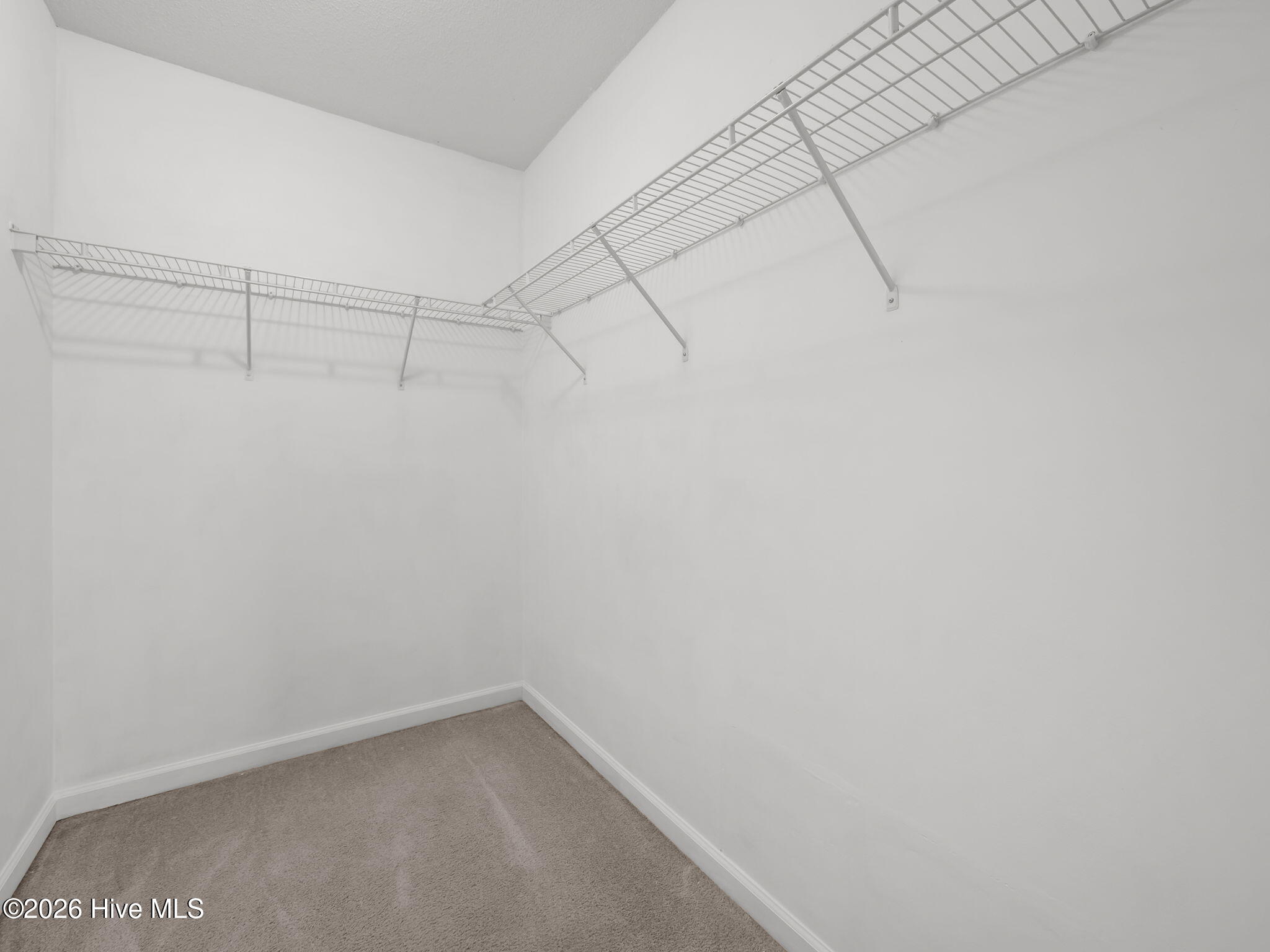 100548288 | Photo 36