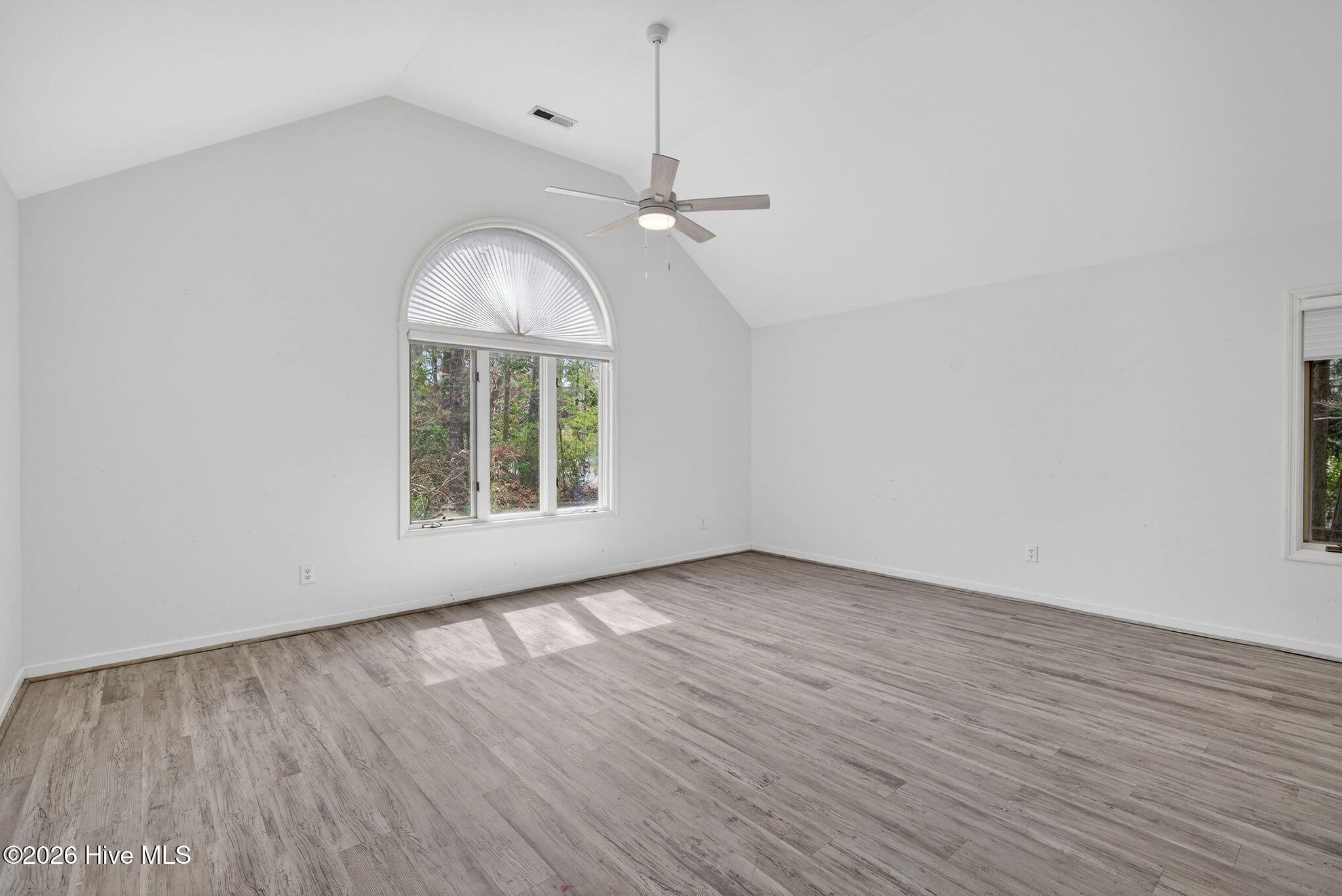 100556345 | Photo 17