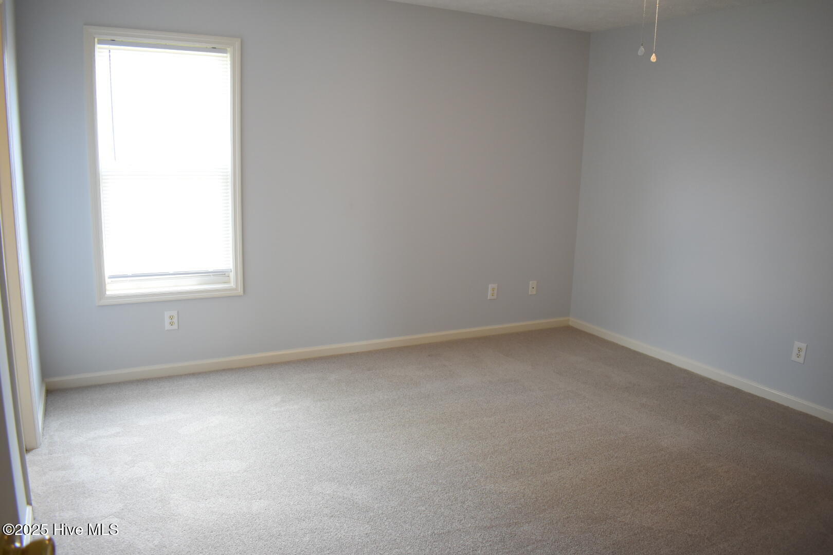 100538470 | Photo 14