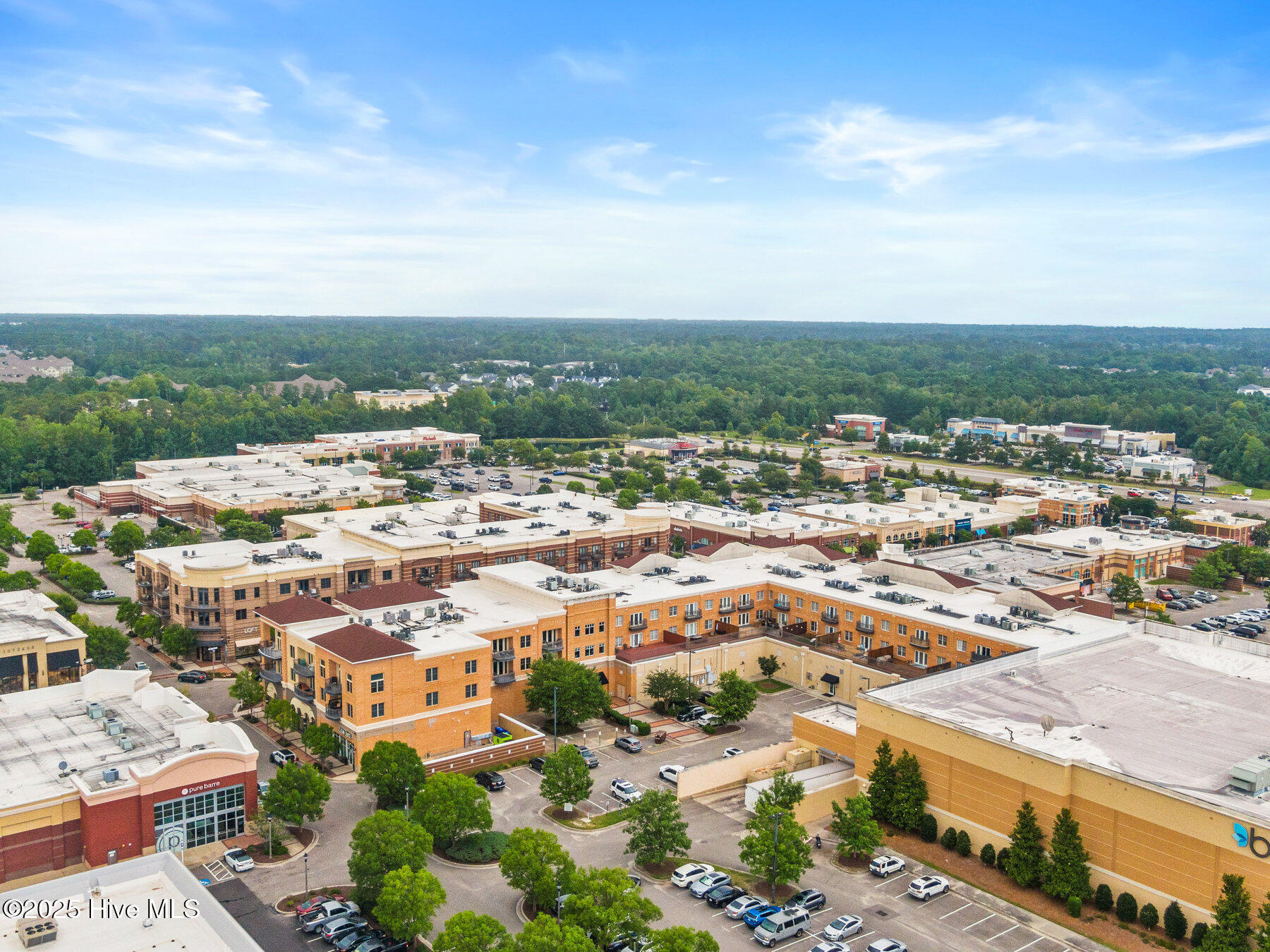 100518149 | Photo 41