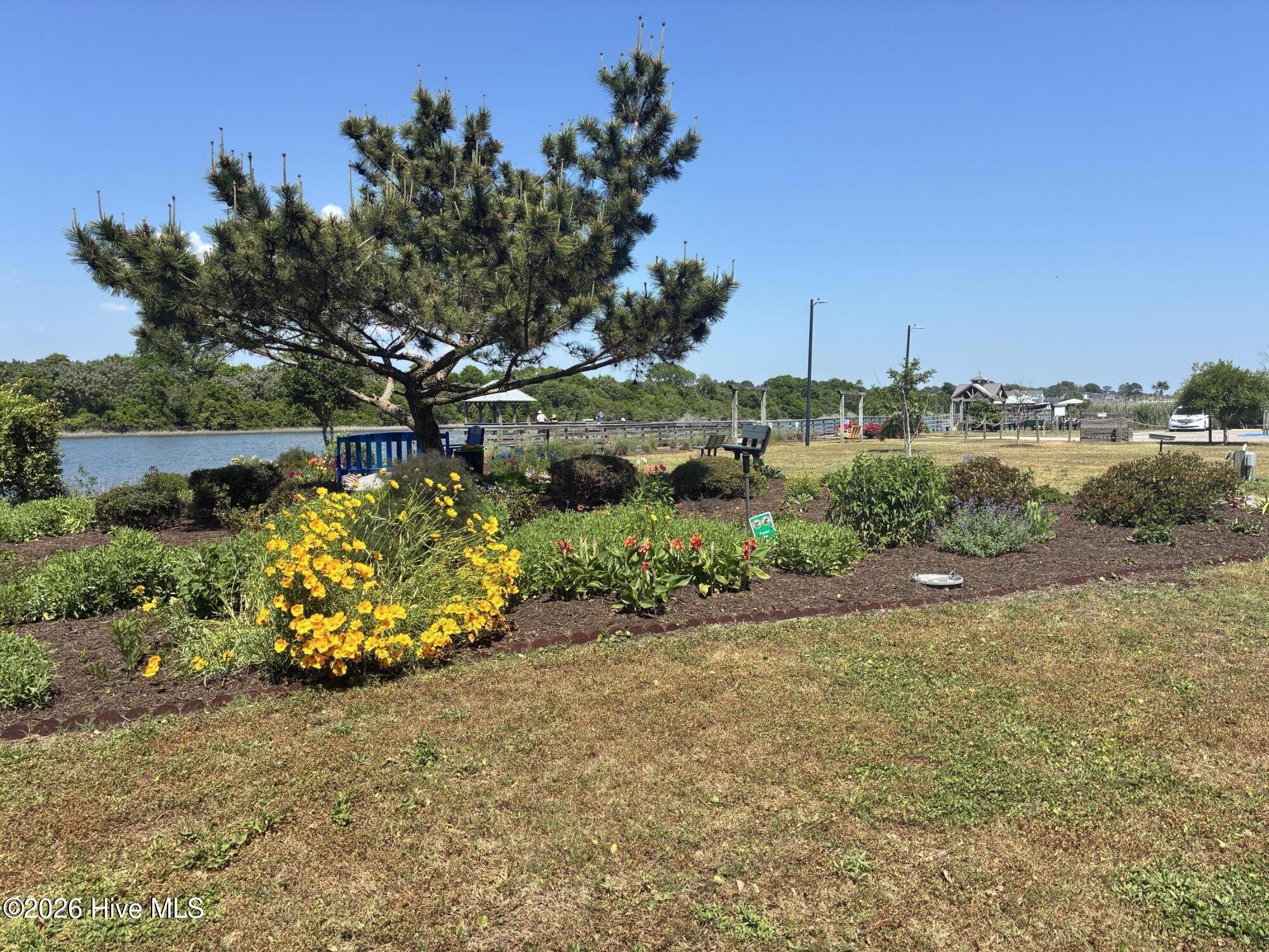 100569649 | Photo 45