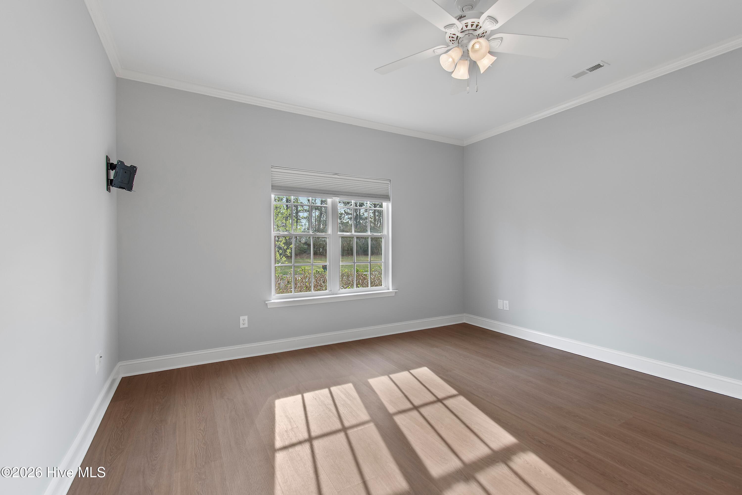 100562545 | Photo 24